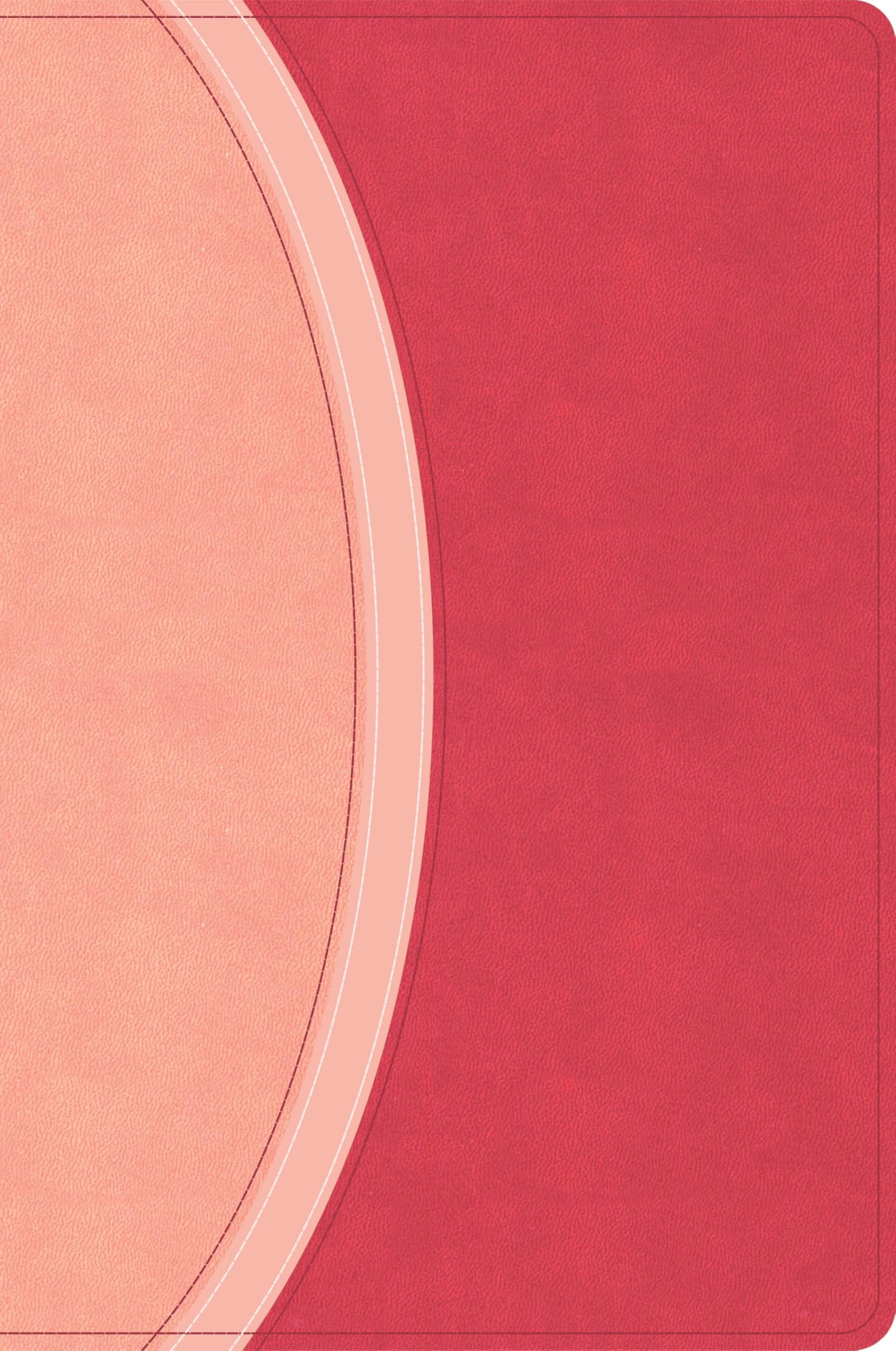 CSB Rainbow Study Bible, Pink LeatherTouch