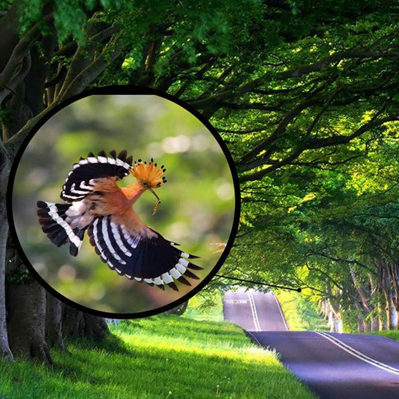 Telescopio per Bambini e Principianti, telescopio rifrattore da Viaggio da 80 mm per Astronomia, per l'osservazione della Luna, Birdwatching, Visite turistiche, per Interni/Esterni