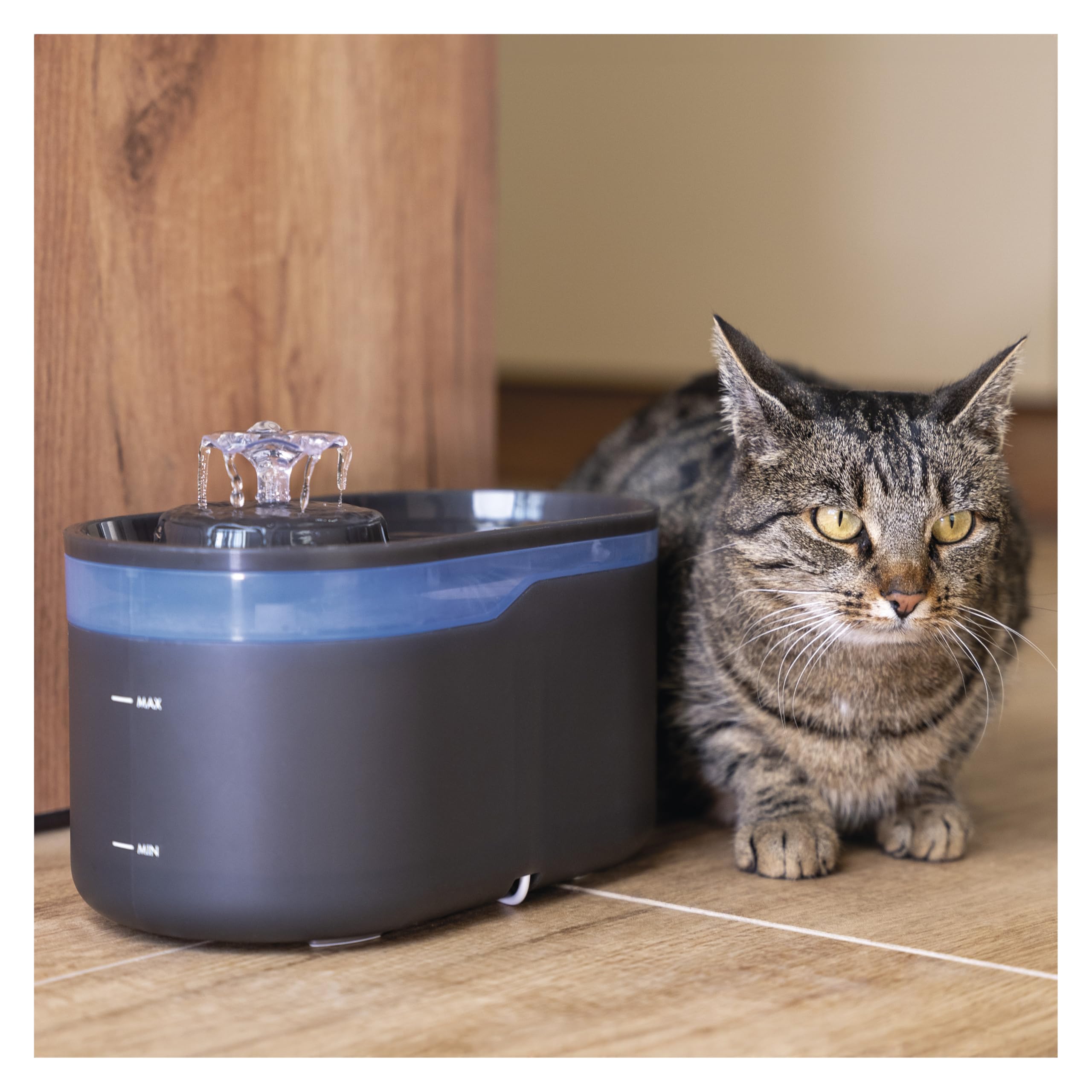 EMOS GoSmart Fuente para Gatos de 2,6 l con Sistema de filtración - Fuente de Agua Potable para Mascotas - Dispensador de Agua Dulce - Gris