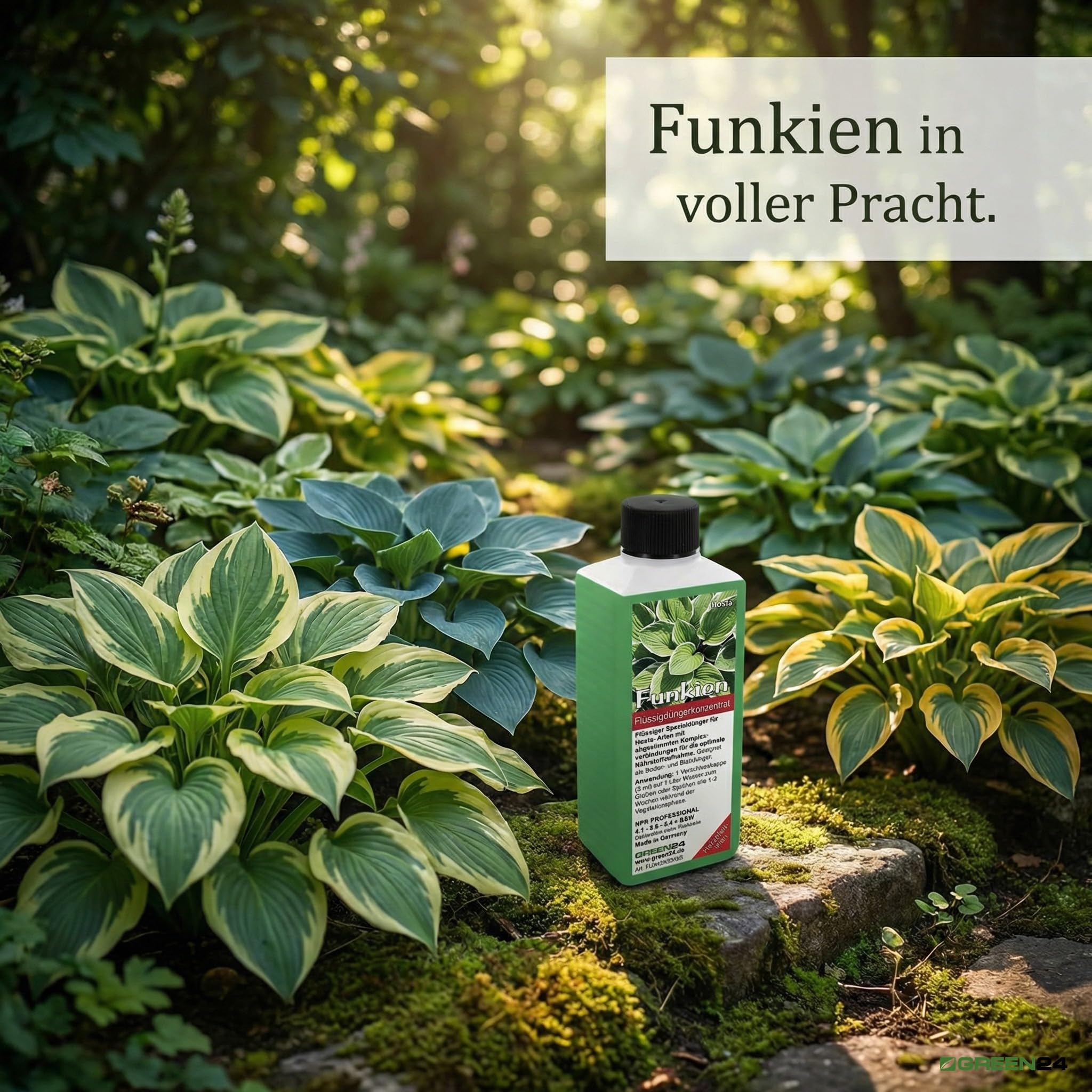 dnger fr obstbume im frhjahr Obstbume Dnger Langzeitwirkung