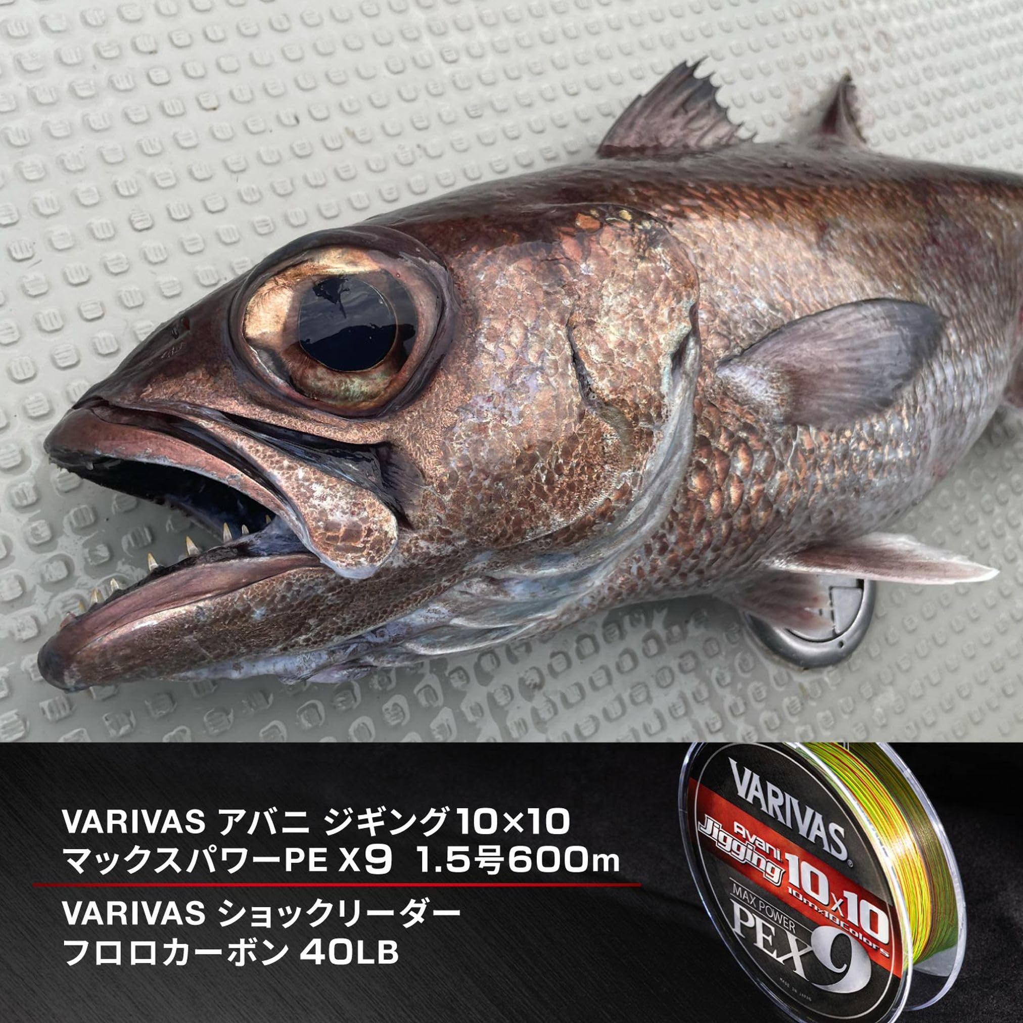 Amazon.com : VARIVAS Braid Line Avani Jigging 10x10 Max Power PE