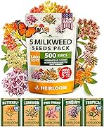 HOME GROWN Milkweed Flower Seeds - 500+ Heirloom Perennial Wildflower Seeds (5 Individual Varieties) Supports Monarch Habitat, Grows in Zones 3–10 (Asclepias syriaca)