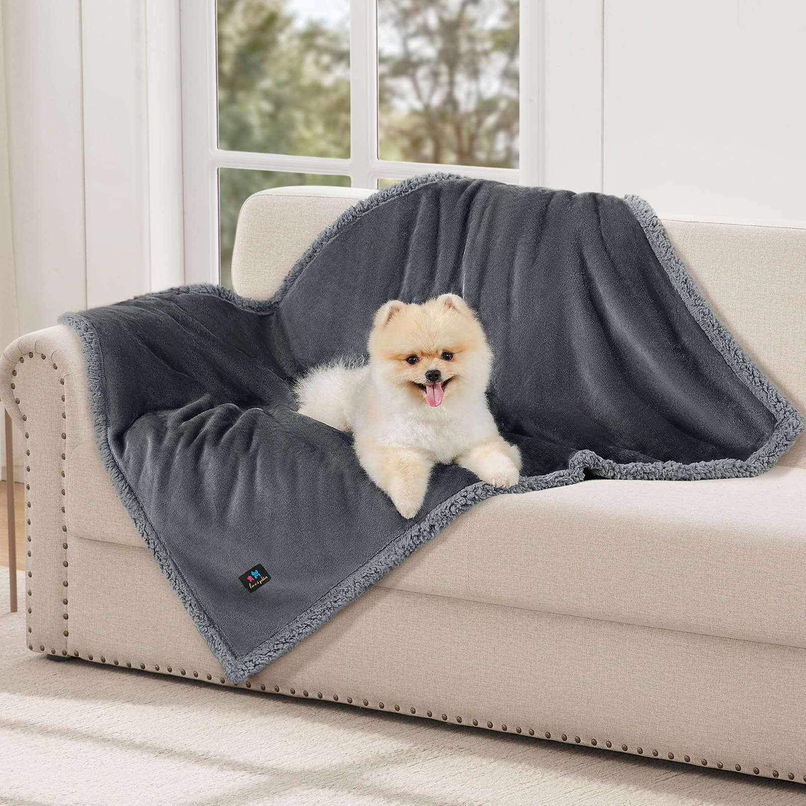 Luciphia Waterproof Blanket for Large Dogs Liquid Proof Furniture Protector Washable Pet Reversible Bed Cover for Couch Soft Sherpa Fleece Cat Blanket for Small Medium Light Grey Small(40" x 28")