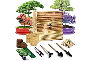 Bonsai Tree Kit for Adults: An Enduring Masterpiece of Miniature Majesty