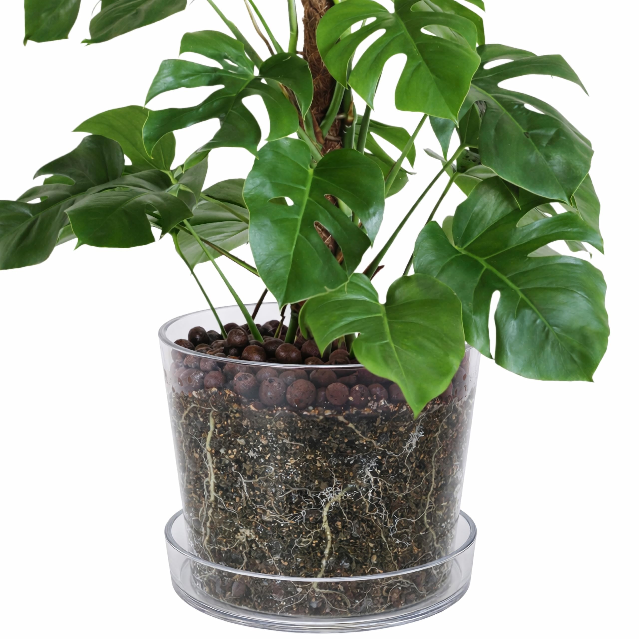 Phoenix Vine 12 Inch Clear Acrylic Planter Pot with Tray, Orchid Pot with Drainage Holes, Deep Saucer for Bottom Watering, Transparent Containers for Indoor Plants, Herbs, Set of 1, 91-A-I-1