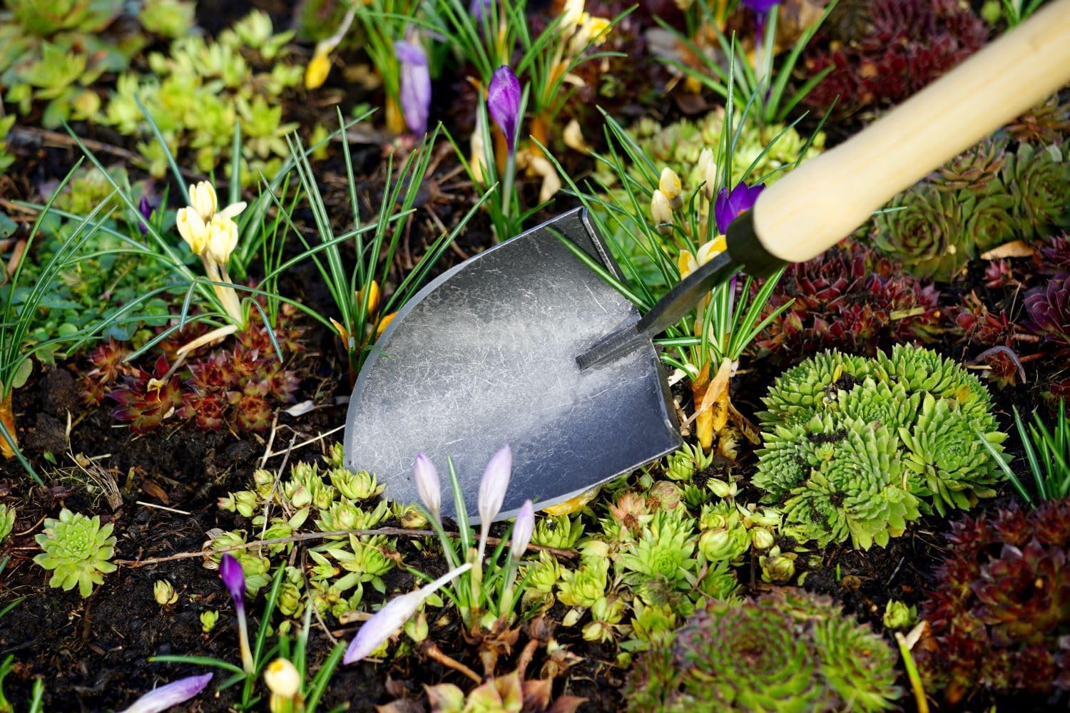 Dewit Mini American Welldone Shovel – Long Handle, Heirloom-Quality Gardening Tool for Easy Planting, Rock & Root Removal