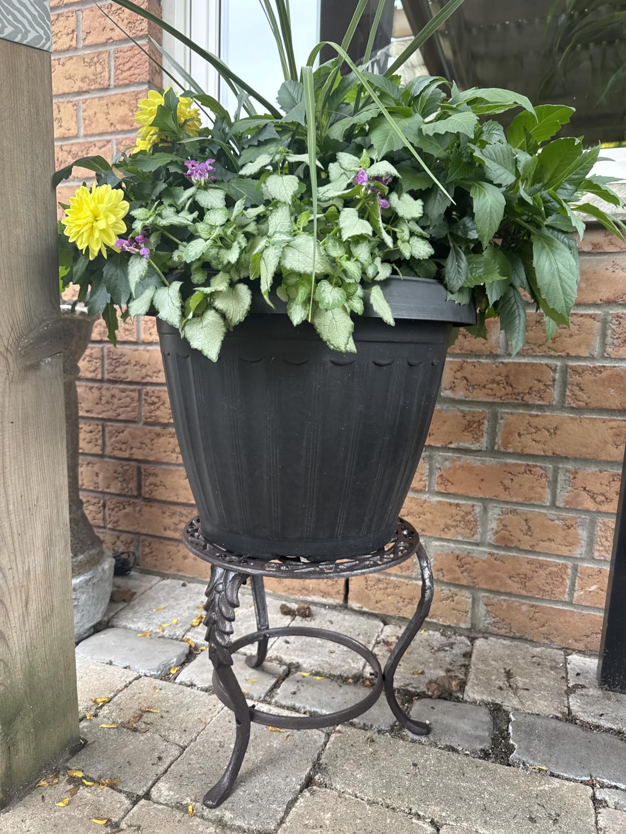 Customer photo