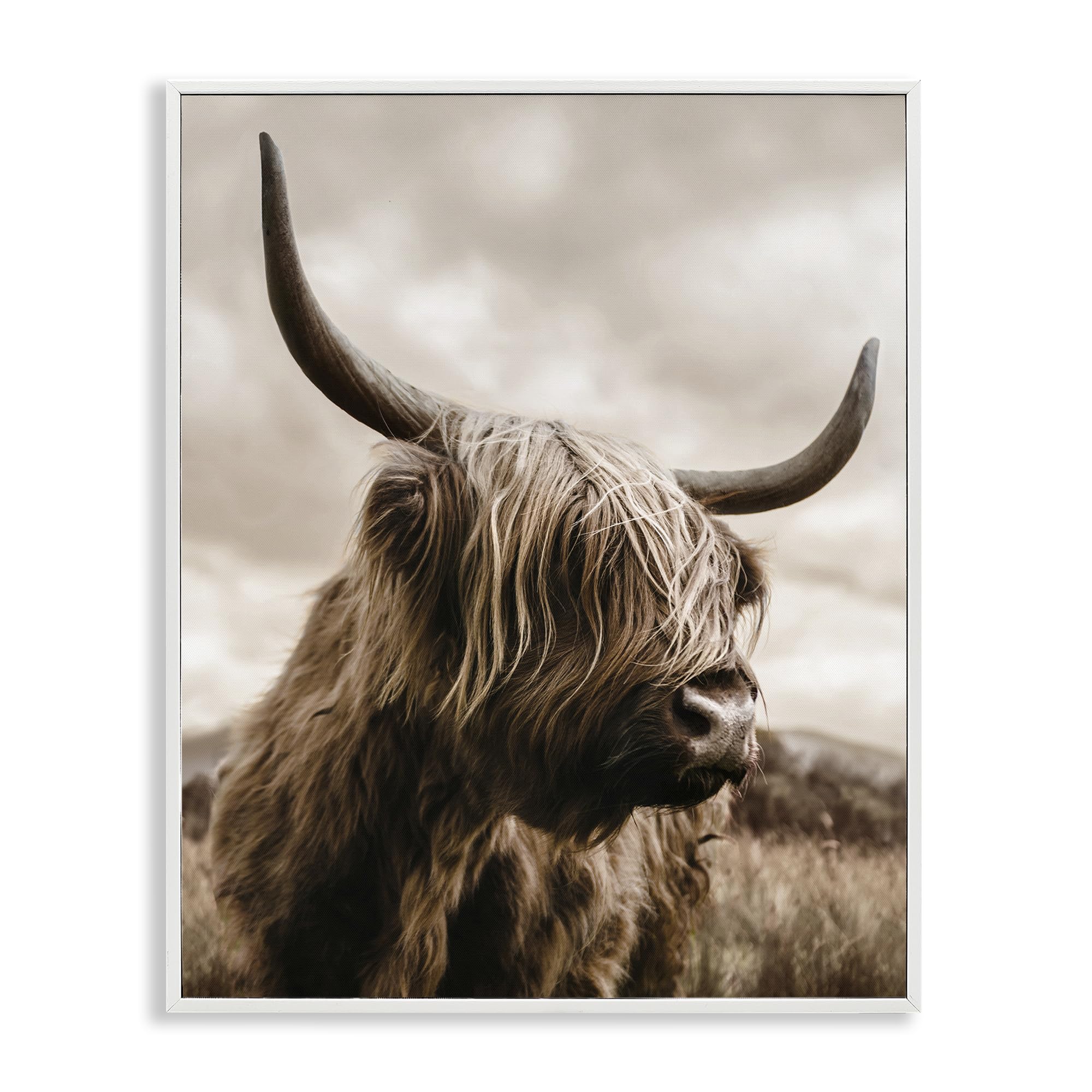 Stupell Industries 'Highland Cow on Windswept Moor', Framed Giclee Art, White, 16 x 20 Inches, Easy to Hang and Sturdy, Made in USA, by CAD Designs