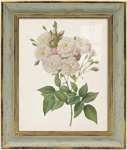 Sapowerntus Marco de fotos de 8 x 10 pulgadas, marcos de fotos vintage verde dorados, marcos de fotos antiguos para colgar en la pared, decoración