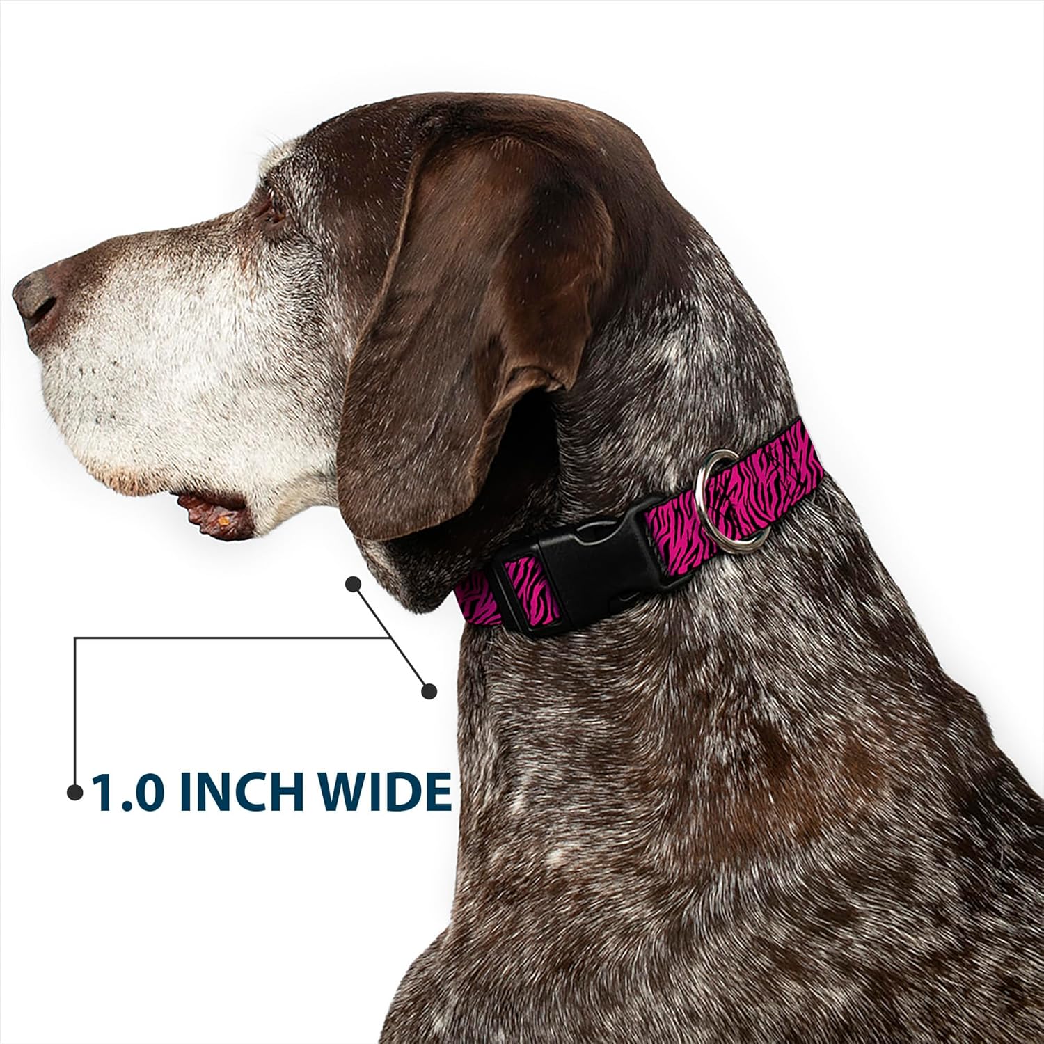 Buckle-Down Plastic Clip Collar - Zebra 2 Fuchsia Pink - 1.5" Wide - Fits 18-32" Neck - Large