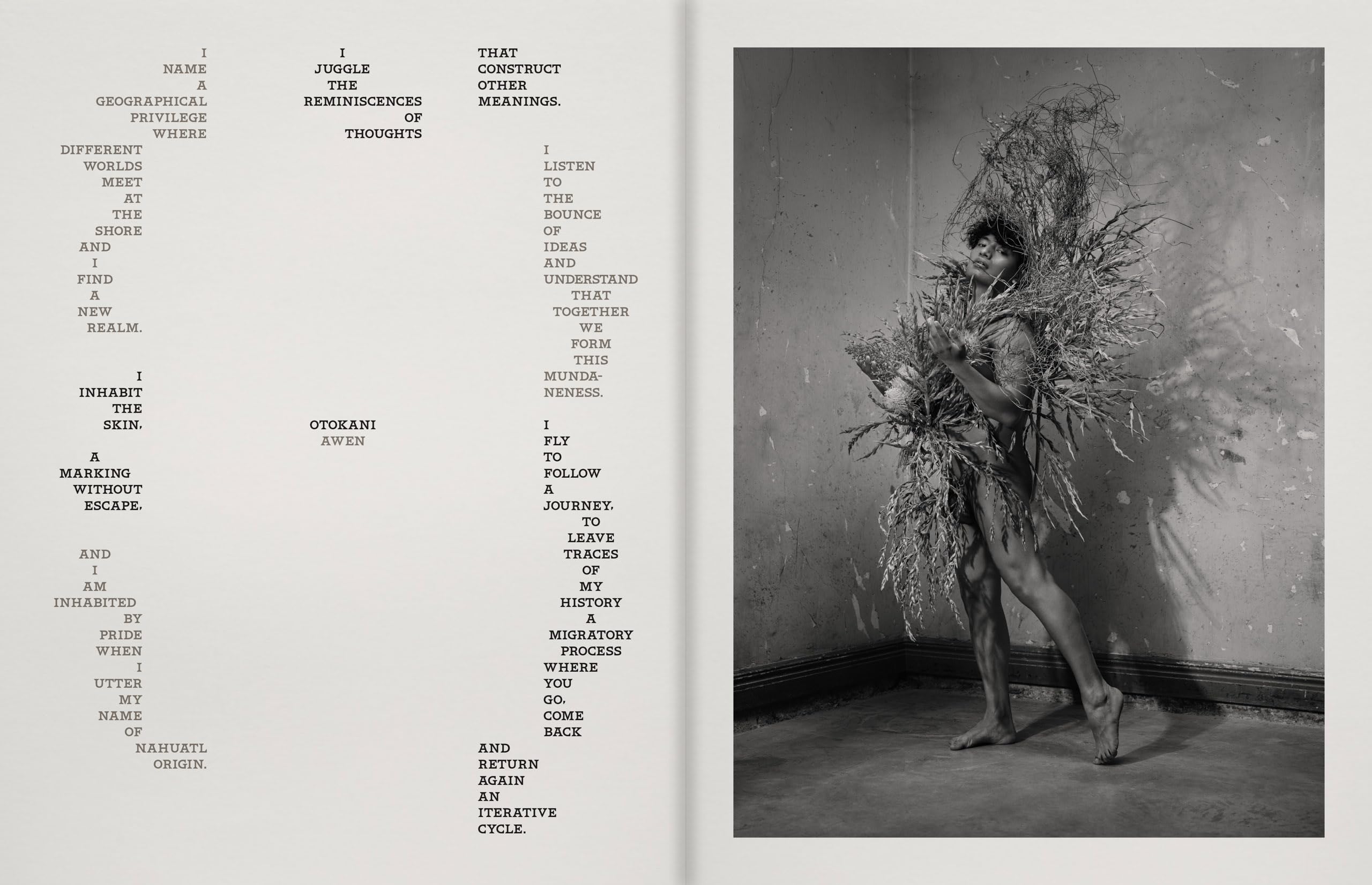 Pieter Henket: Birds of Mexico City