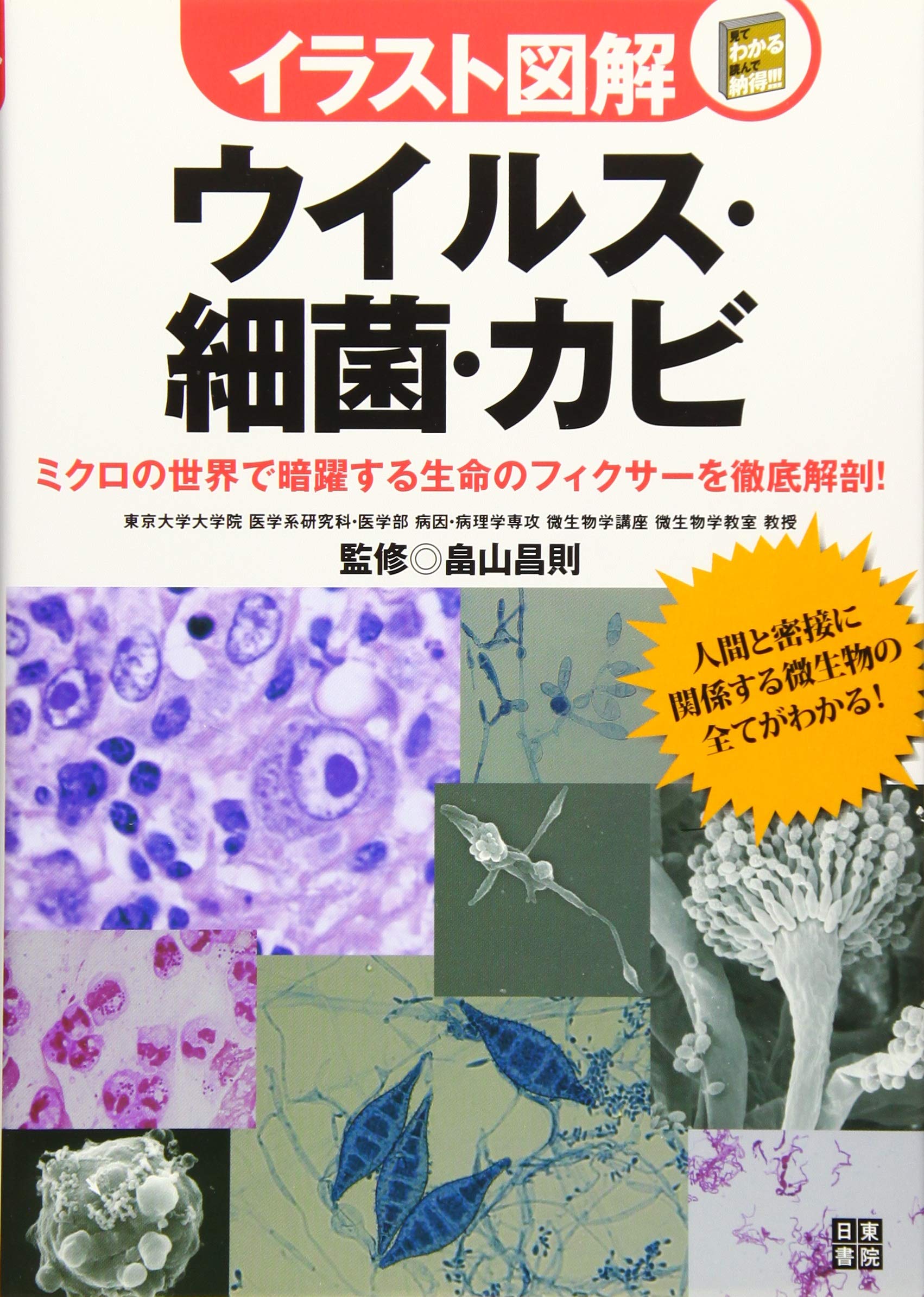 イラスト図解 ウイルス 細菌 カビ 昌則 畠山 本 通販 Amazon