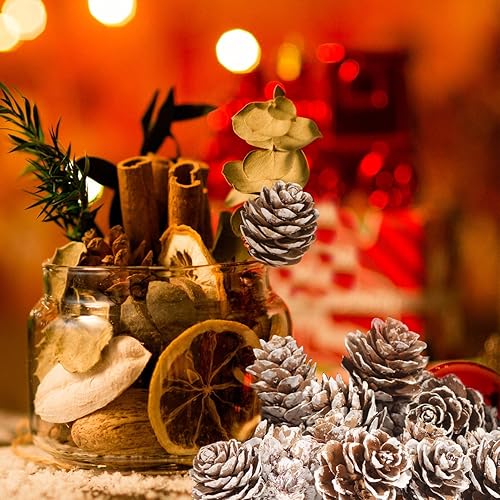 Miniatura 5 de 230 mini piñas de pino de nieve a granel, adornos de piñas rústicas de Acción de Gracias, rellenos de jarrón, piñas pequeñas para manualidades,