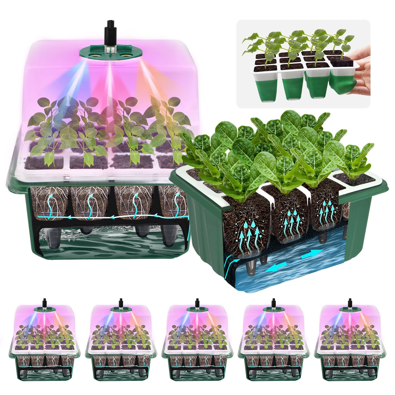 MQJIAZHI 5-Pack 60-Cell Self-Watering Seed Starter Tray