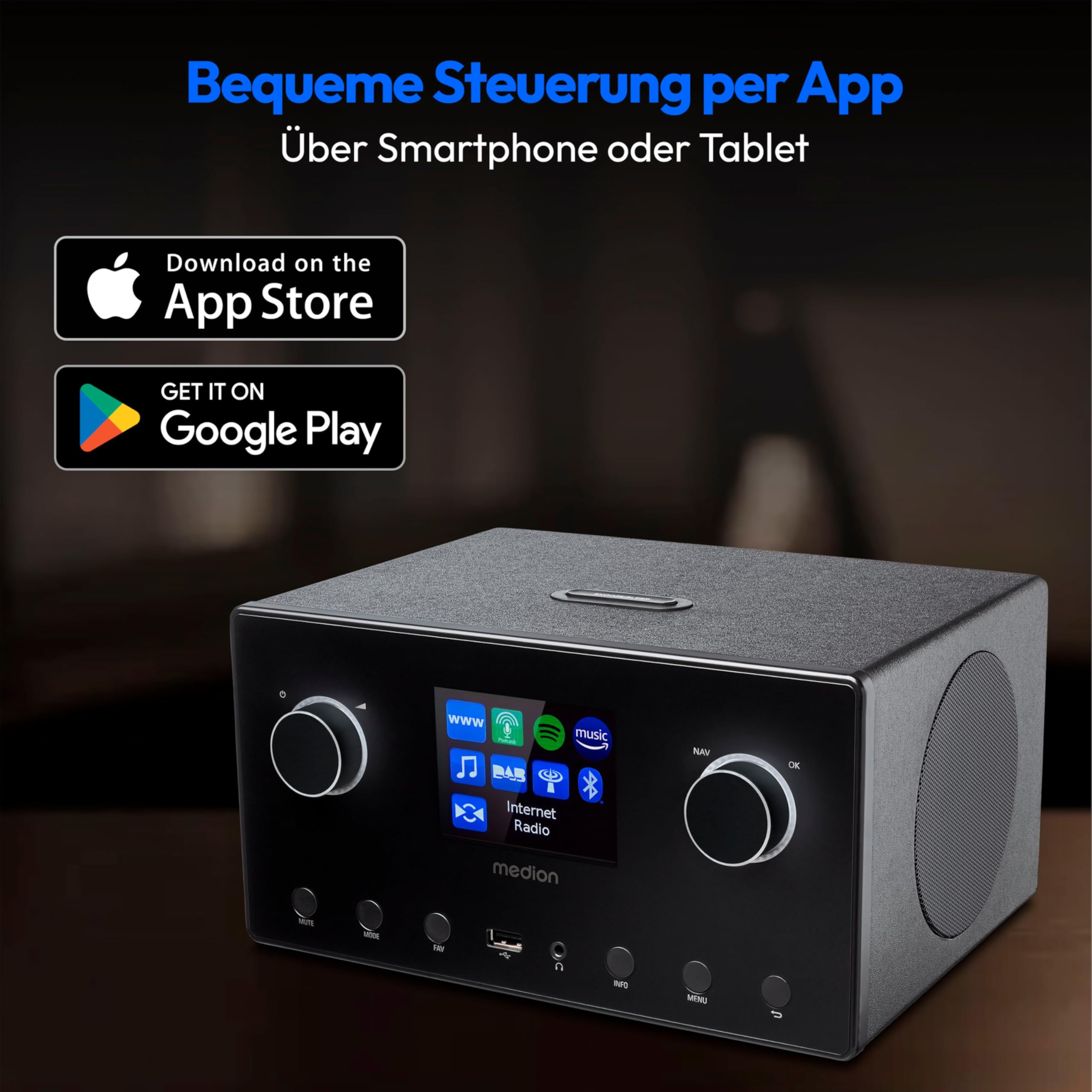 MEDION P85444 2.1 Internetradio mit Subwoofer (DAB+, UKW Radio, Spotify Connect, WLAN, Bluetooth, Streaming, Equalizer, Farbdisplay, USB, AUX, Wecker, Schlummerfunktion, Sleep Timer) schwarz