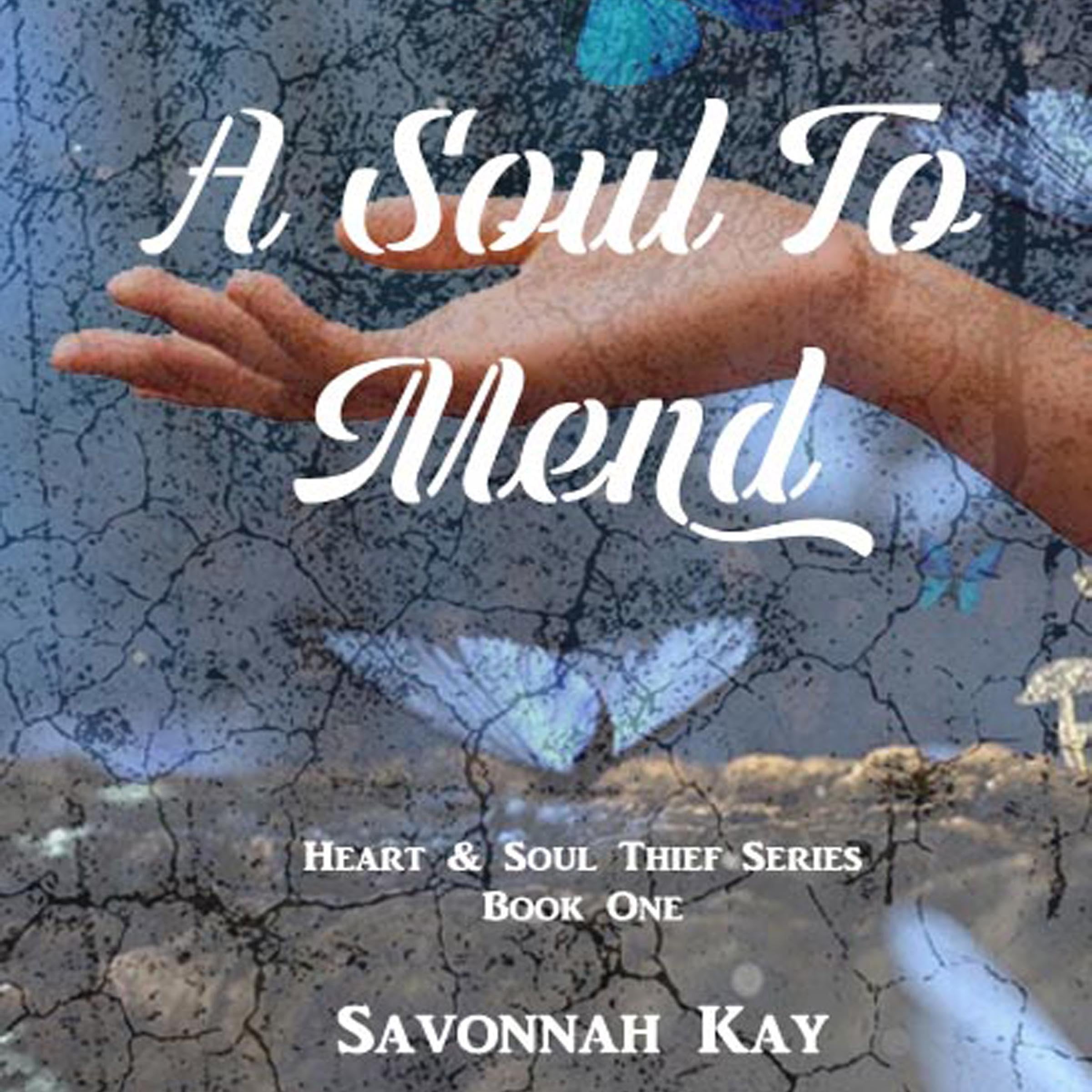 Cover art for A Soul to Mend