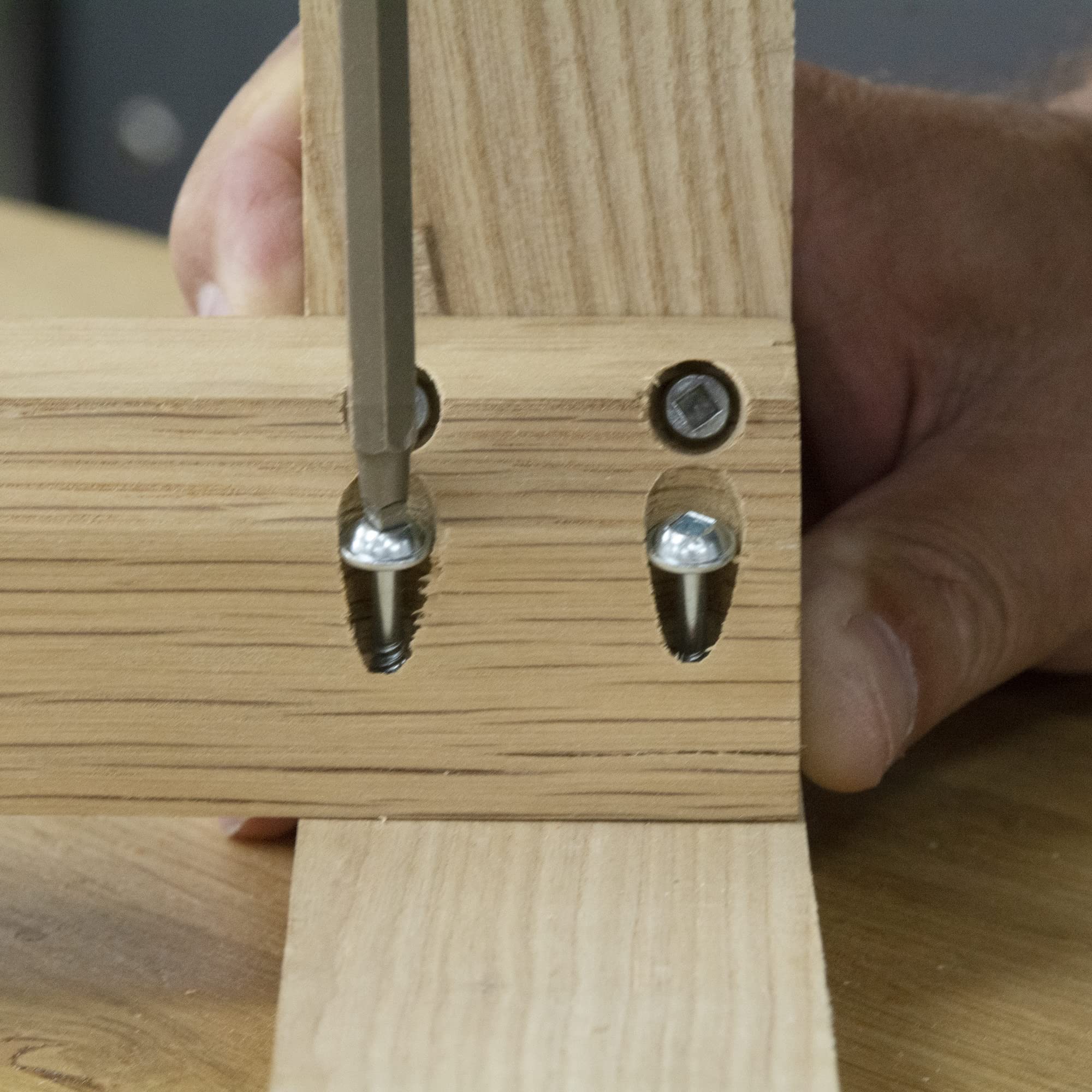 Trend Wkręt do otworów kieszonkowych fine No.7 x 30mm, wkręty samogwintujące do drewna z gwintem standardowym, czworokątne, używane z przyrządami typu Pocket Hole Jig, PH/7X30/500, Opakowanie 500 szt.