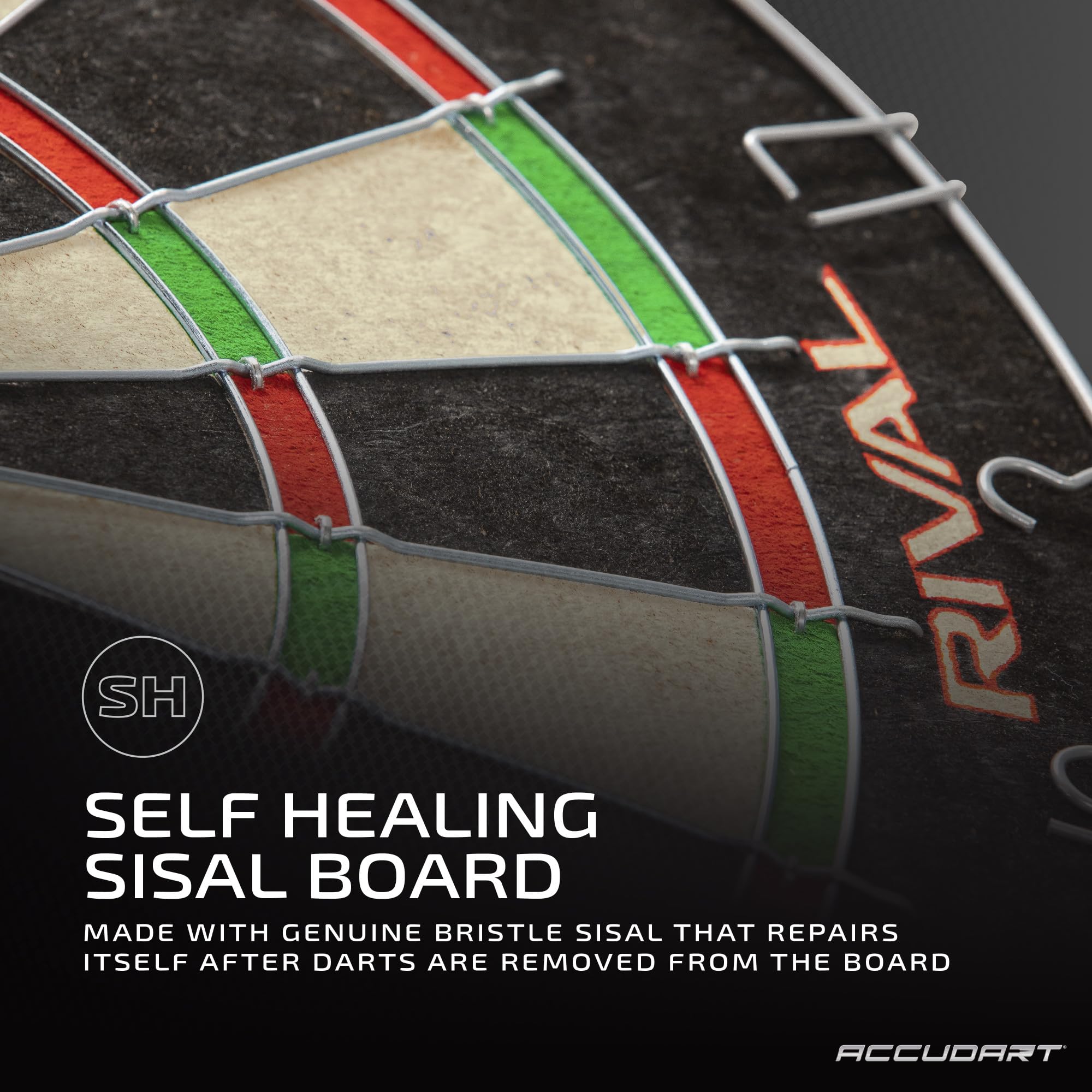 Amazon.co.jp: Accudart ライバル ブリストル ダーツボード : ホビー