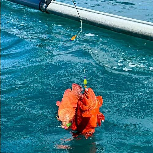 Miniatura 7 de 6Pcs Pompano Fishing Rigs Ready Kit，3 in 1 Float Rigs with Triple 3/0 Circle Hook for Surf Fishing，（12/0） Fishing line / 50in length/50lbTension in