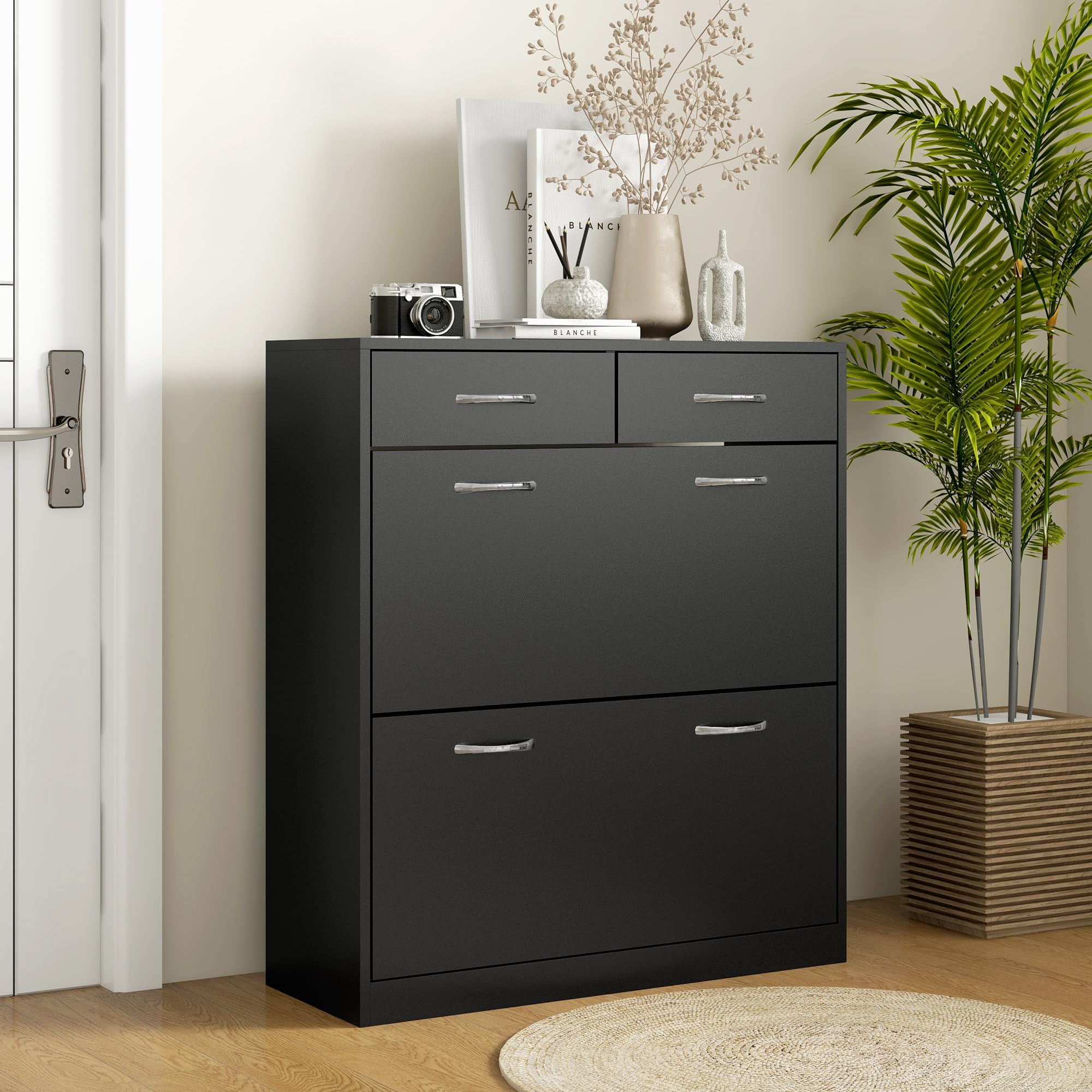 HOMCOM Scarpiera Moderna con 2 Ripiani Interni Regolabili e 2 Cassetti da 12 Paia di Scarpe, Mobile per Scarpe Salvaspazio in Legno, 80x30x91.5 cm, Nero