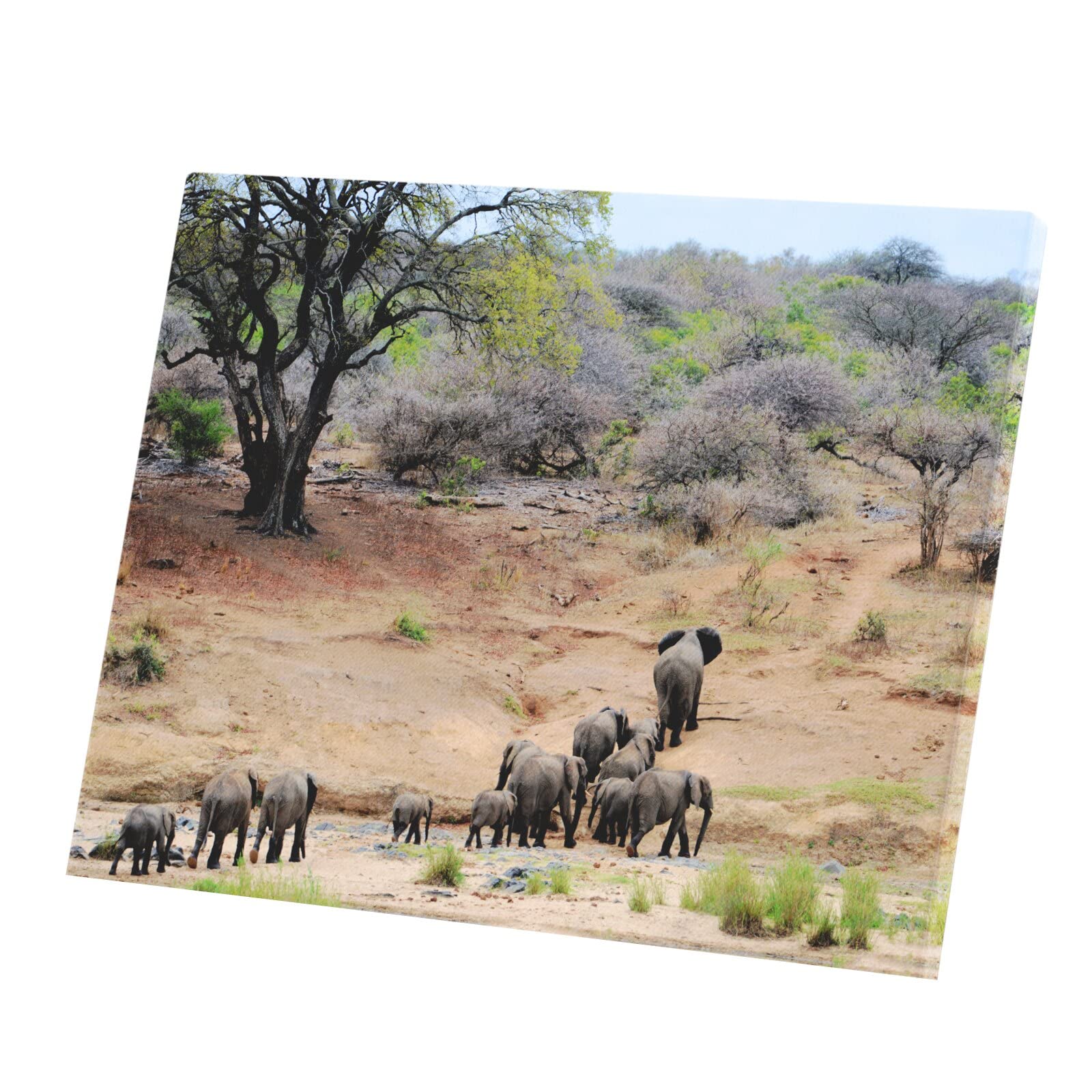 Affiche Éléphant d'Afrique poster savane pour salon chaleureux