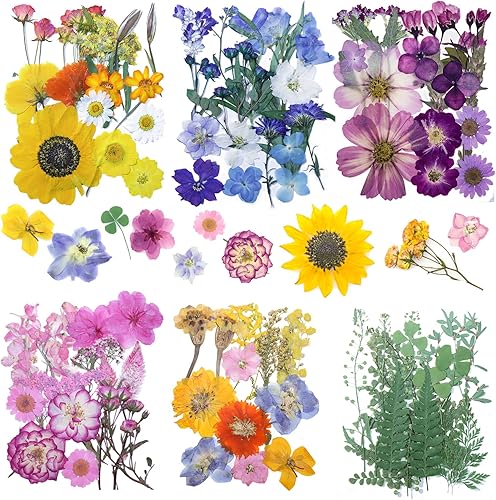 Flores secas para resina, flores y hojas prensadas de rosas elefis para resina, fabricación de velas, manualidades, uñas, álbumes de recortes,
