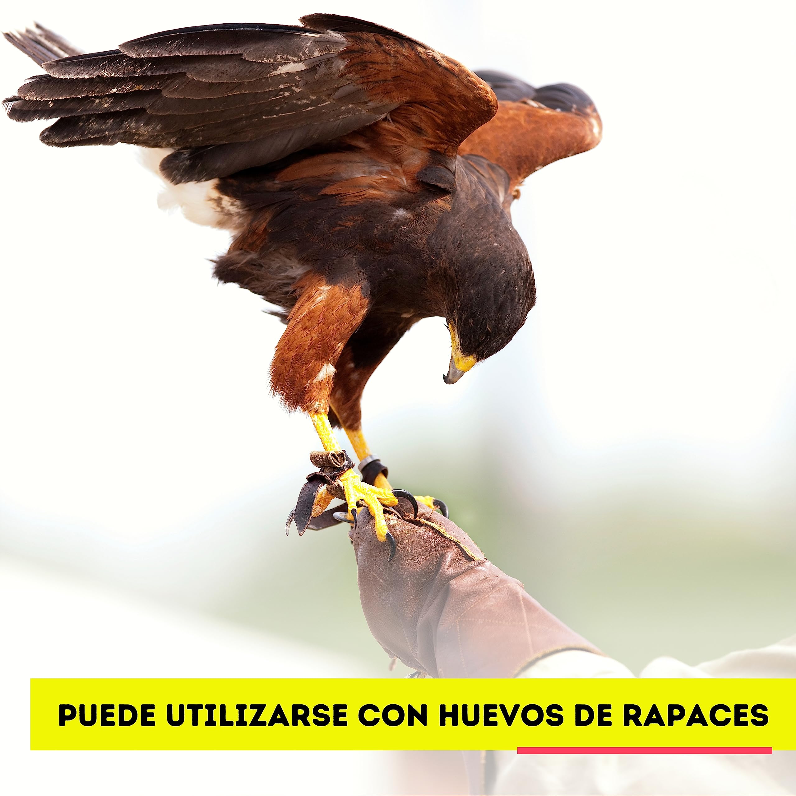 FINCA CASAREJO Monitor Buddy MK II Biometrischer Monitor