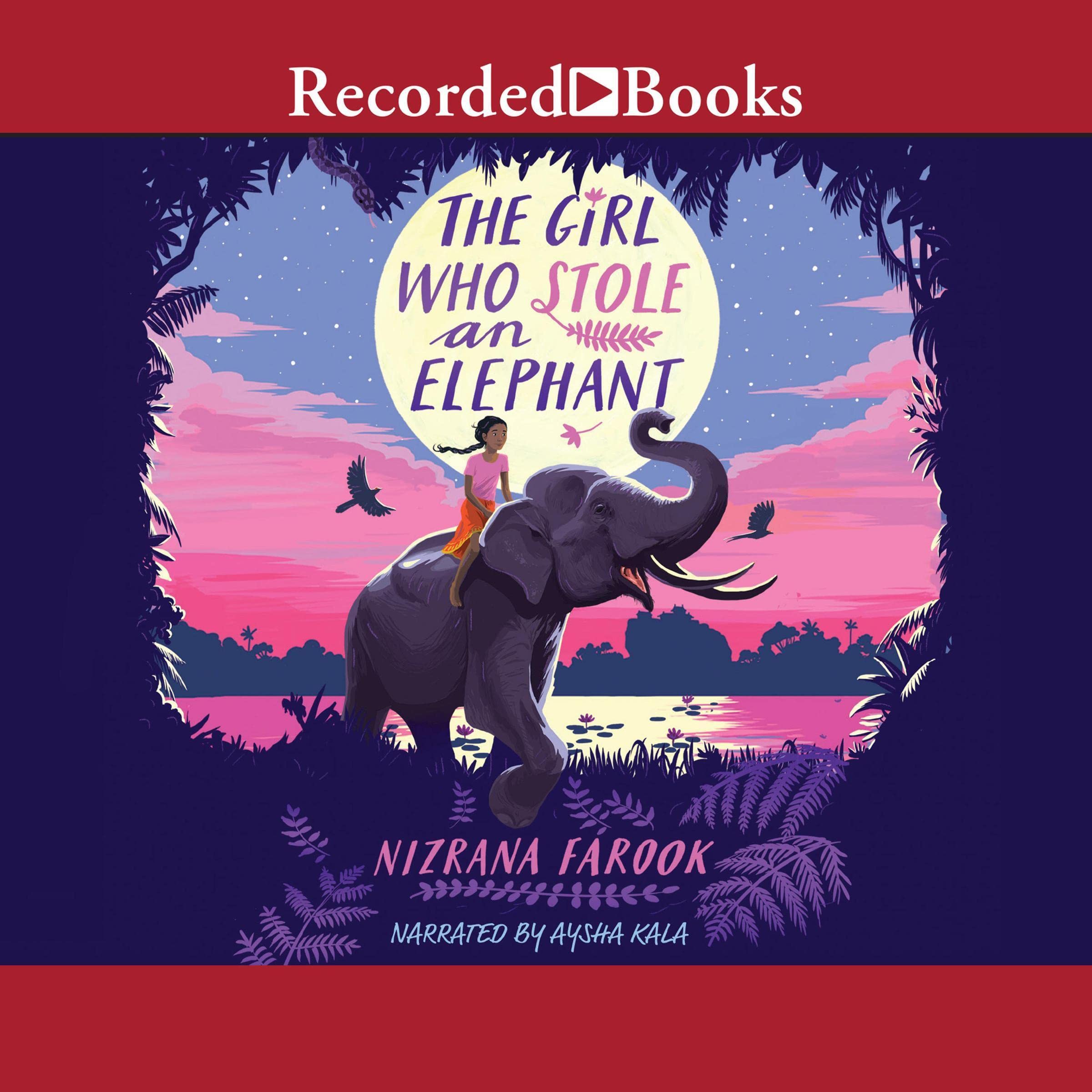 Cover art for The Girl Who Stole an Elephant