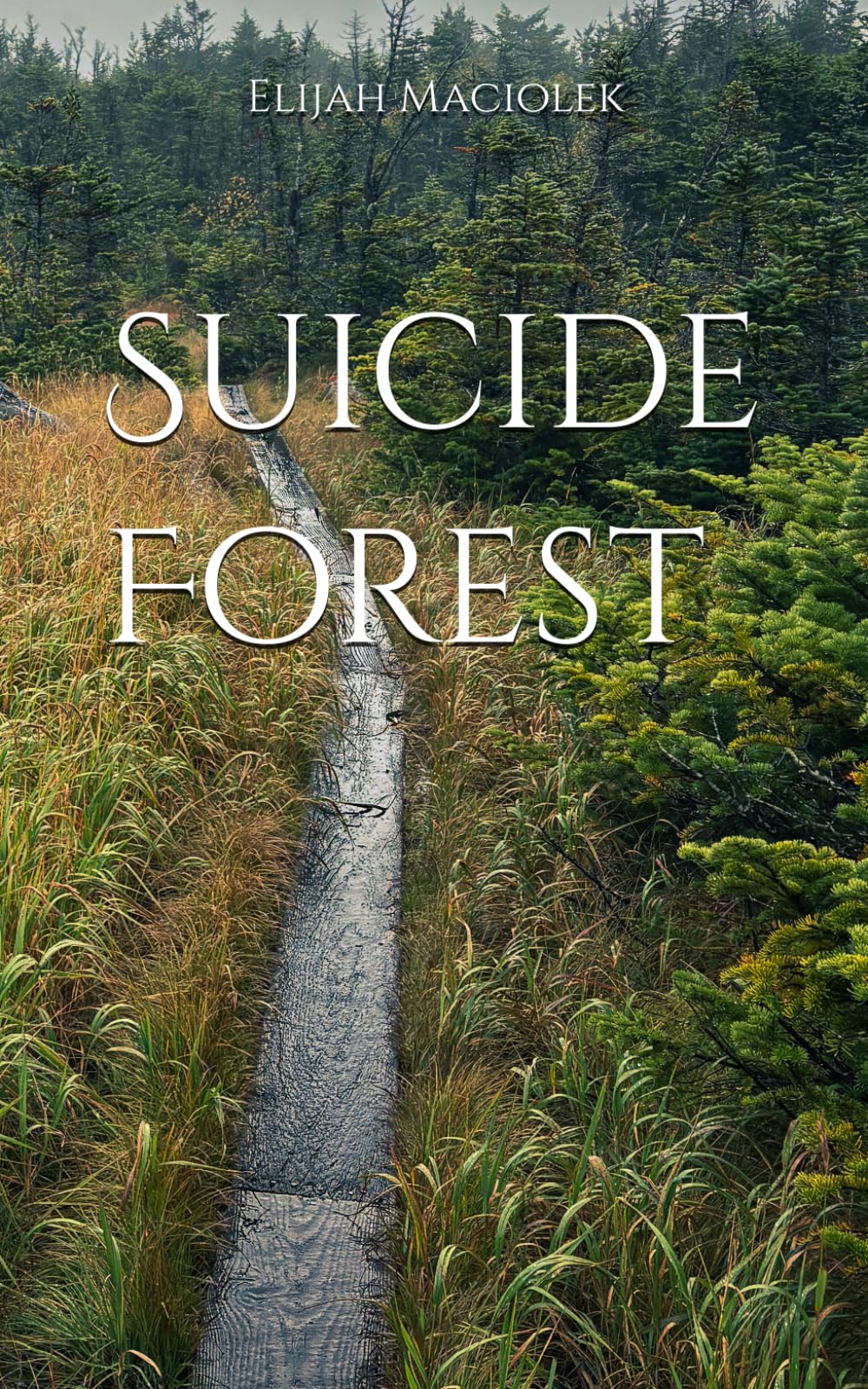 Suicide Forest