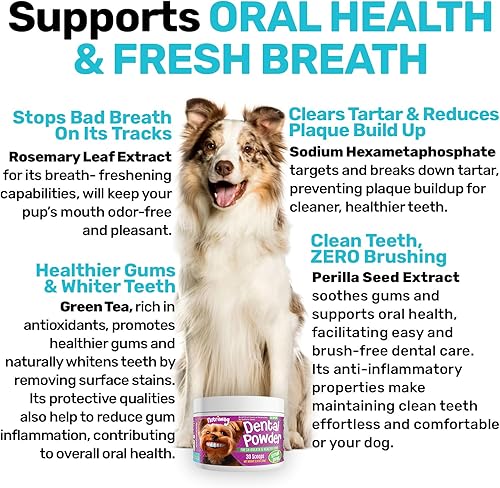 Miniatura 4 de Polvo dental  Dientes limpios, encías saludables y aliento fresco  Maneja la placa y la acumulación de sarro sin necesidad de cepillado  Formulado