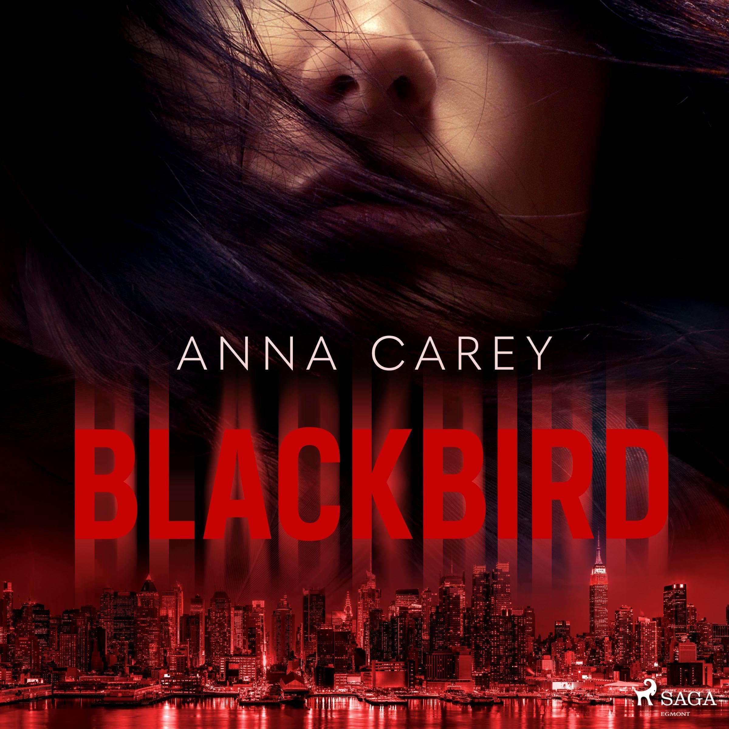 Cover art for Blackbird (German edition)
