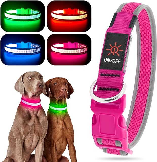 YFbrite Light up Dog Collar, Rechargeable LED Dog Collar, Flashing Dog Collar, Adjustable Reflective Dog Collar Safety Glowing at night (Pink, Medium)