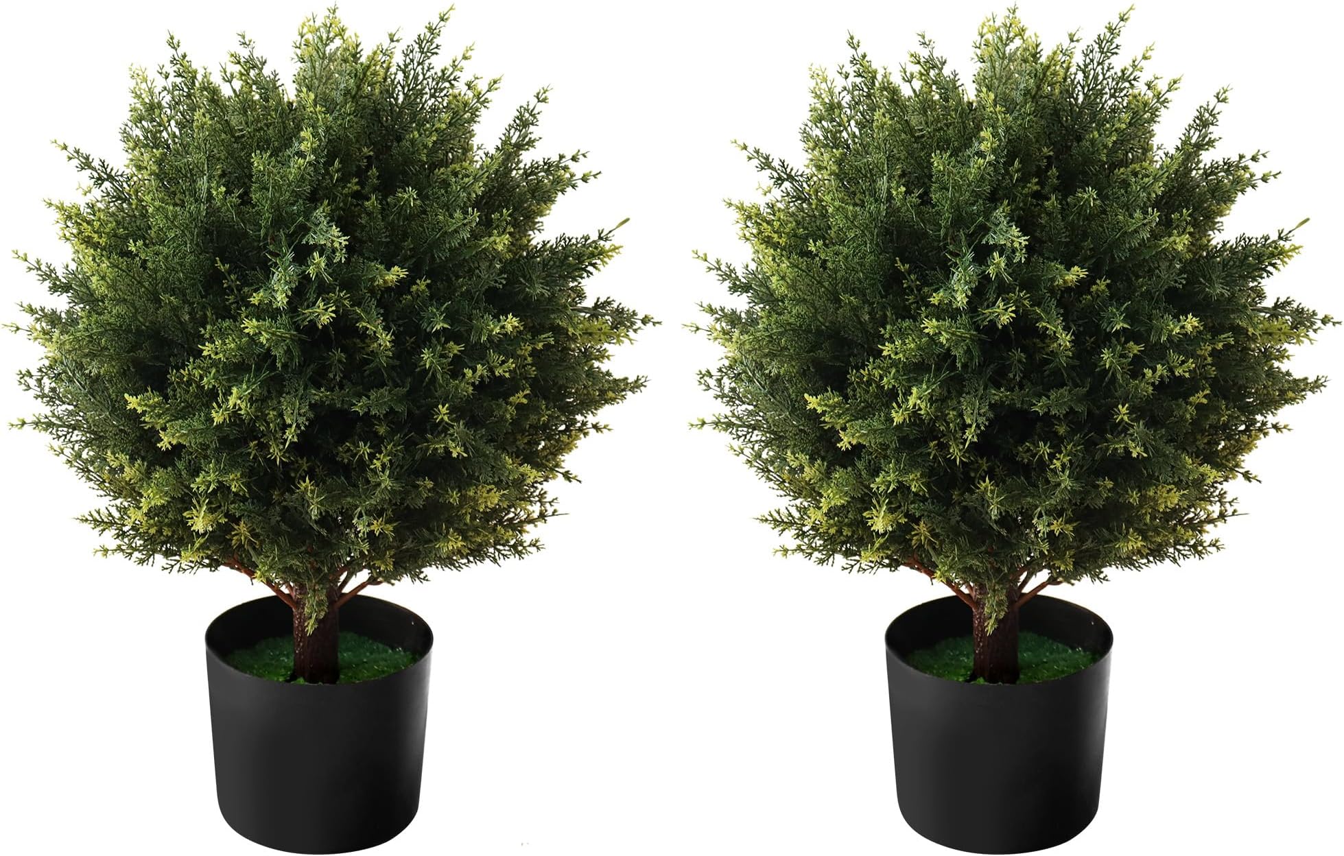 Silk Tree Warehouse Company Inc One 2 Foot Outdoor