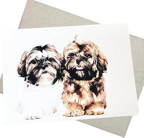 Shih Tzu - Tarjeta de felicitación (5 x 7 pulgadas, 1 tarjeta, interior en blanco) para tarjeta de cumpleaños Shih Tzu, condolencias de mascotas