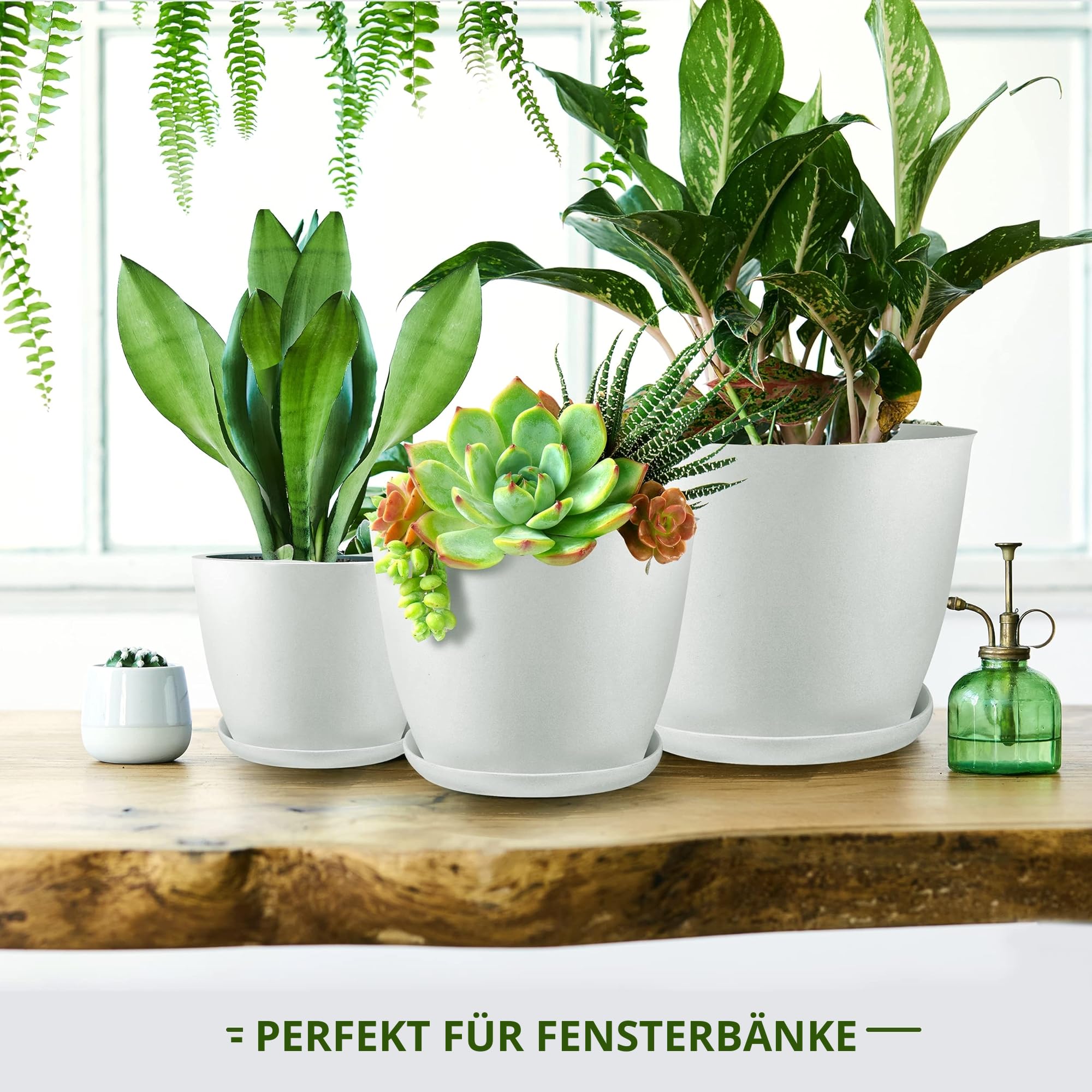 Utopia Home 5er-Pack Blumentopf 18/17/15/13/12 cm Übertopf mit Untertasse Für Küche, Balkon Blumentöpfe mit Untertasse Gartenpflanzen Sukkulenten, für Zimmerpflanzen Weiß.