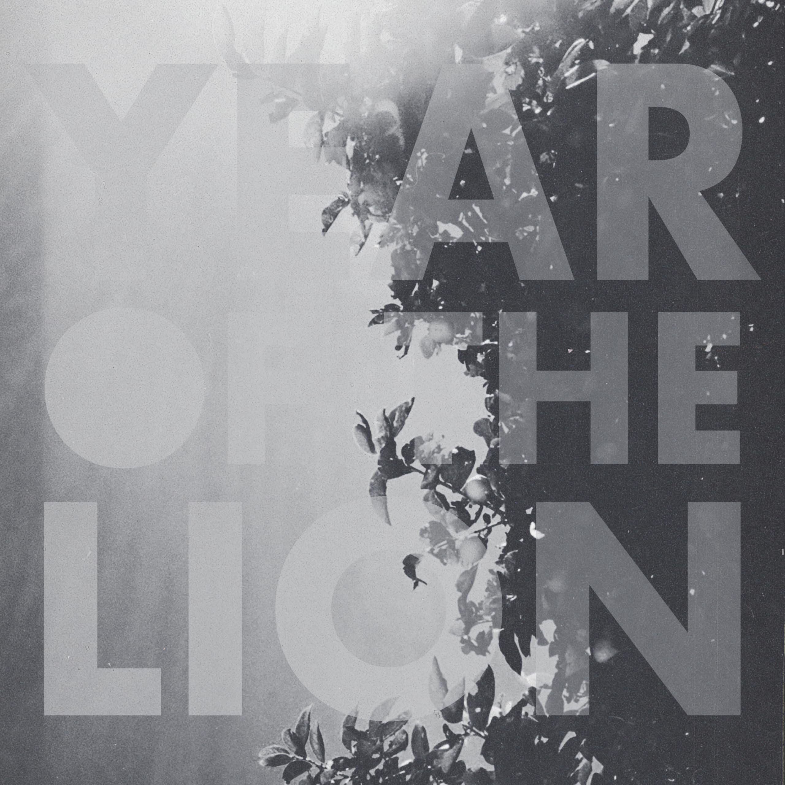 Year of the Lion