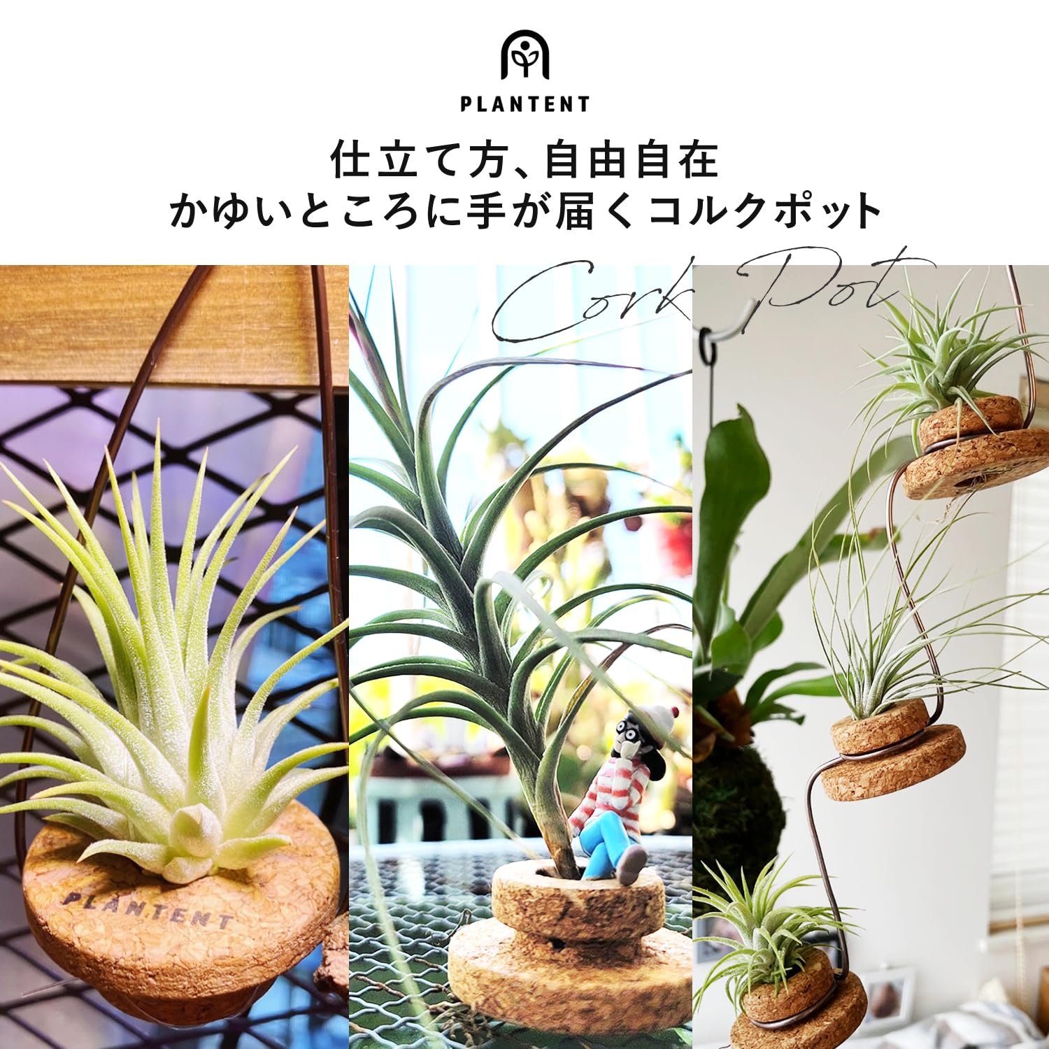 Amazon｜PLANTENT コルクポット 3個入 エアプランツ専用着生材