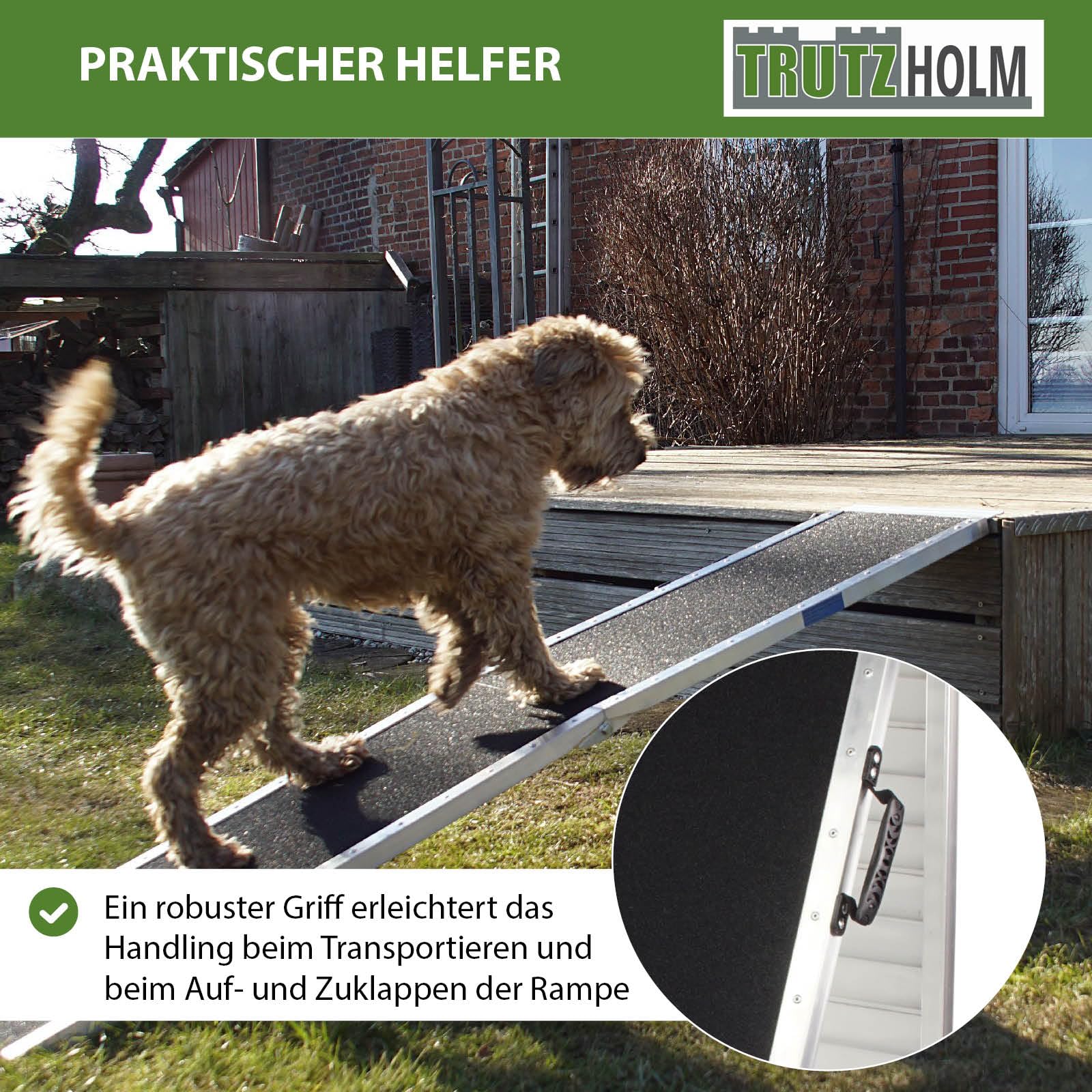 TRUTZHOLM Hunderampe klappbar 183 cm Traglast 180 kg Alu grau schwarz beschichtet Tierrampe Tasche