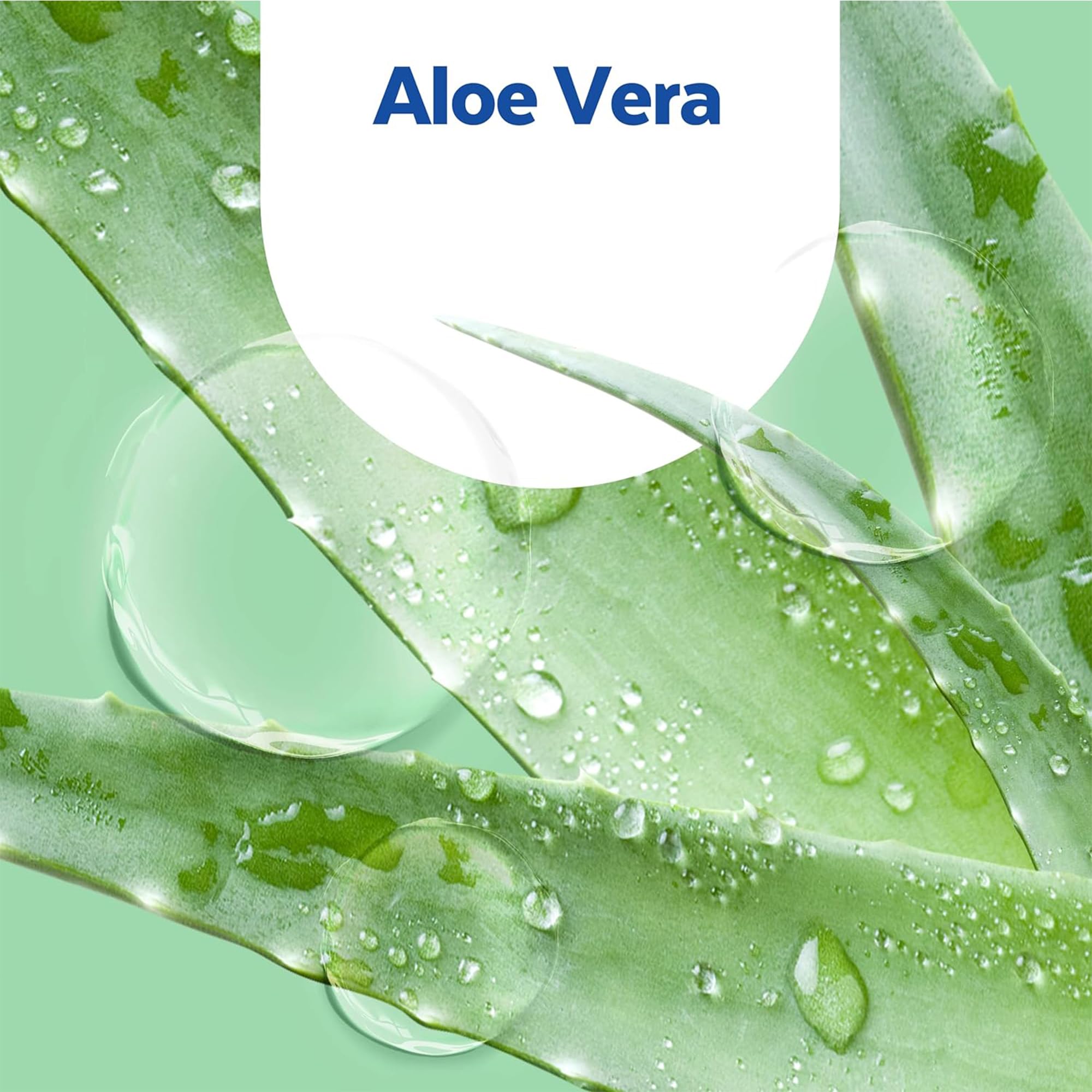 Sagrotan Handseife Nachfüller Aloe Vera – Feuchtigkeitsspendend und stark gegen Bakterien – 6 x 500 ml Handseife