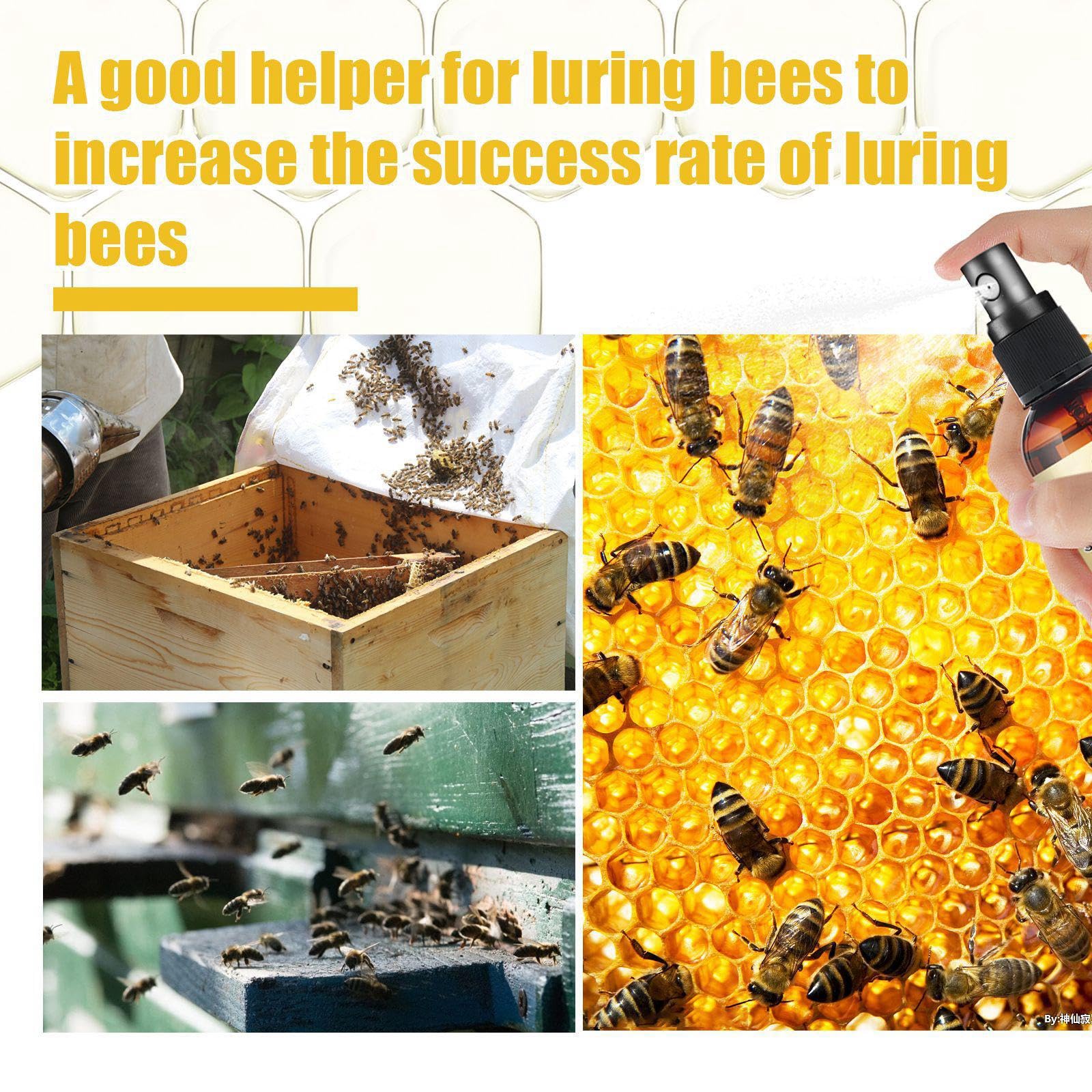Swarm Lure 1 Bottle 60ml Beekeeper Beekeeping Tool - Image 6 thumbnail