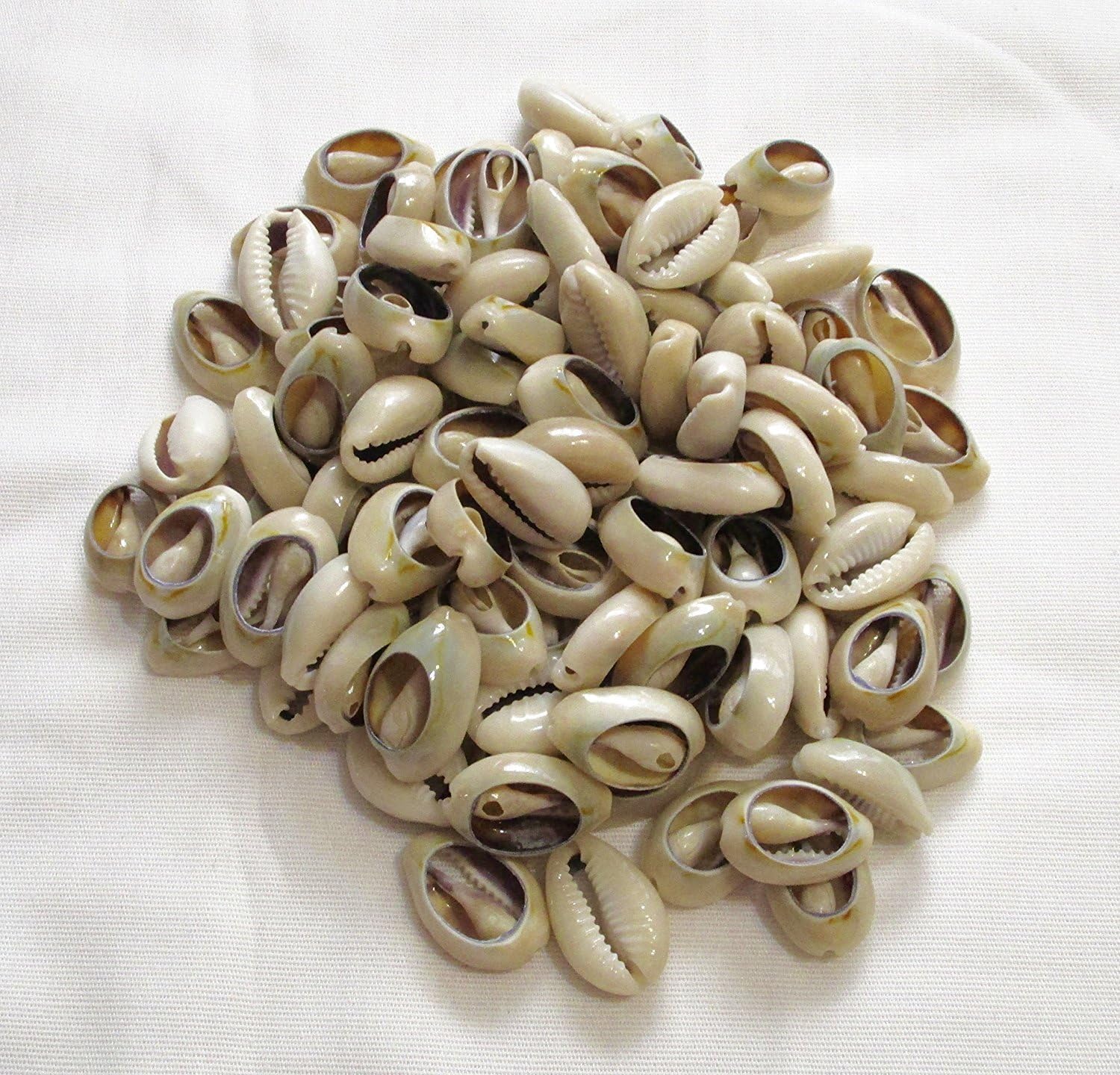 Rastogi Handicrafts Open 220+ Pcs Bulk Cut Sea Shell Beads Cowrie Craft