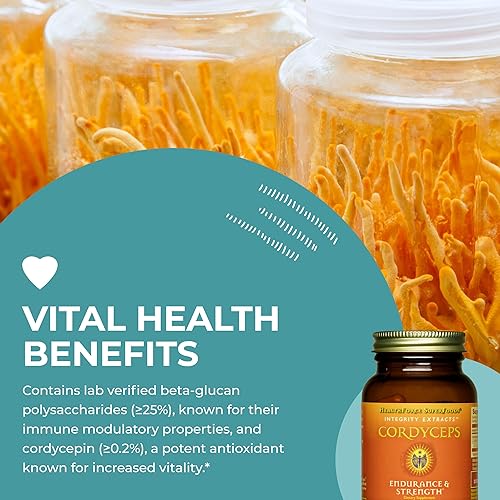 Miniatura 5 de HEALTHFORCE SUPERFOODS Integrity Extracts Cordyceps  90 VeganCaps