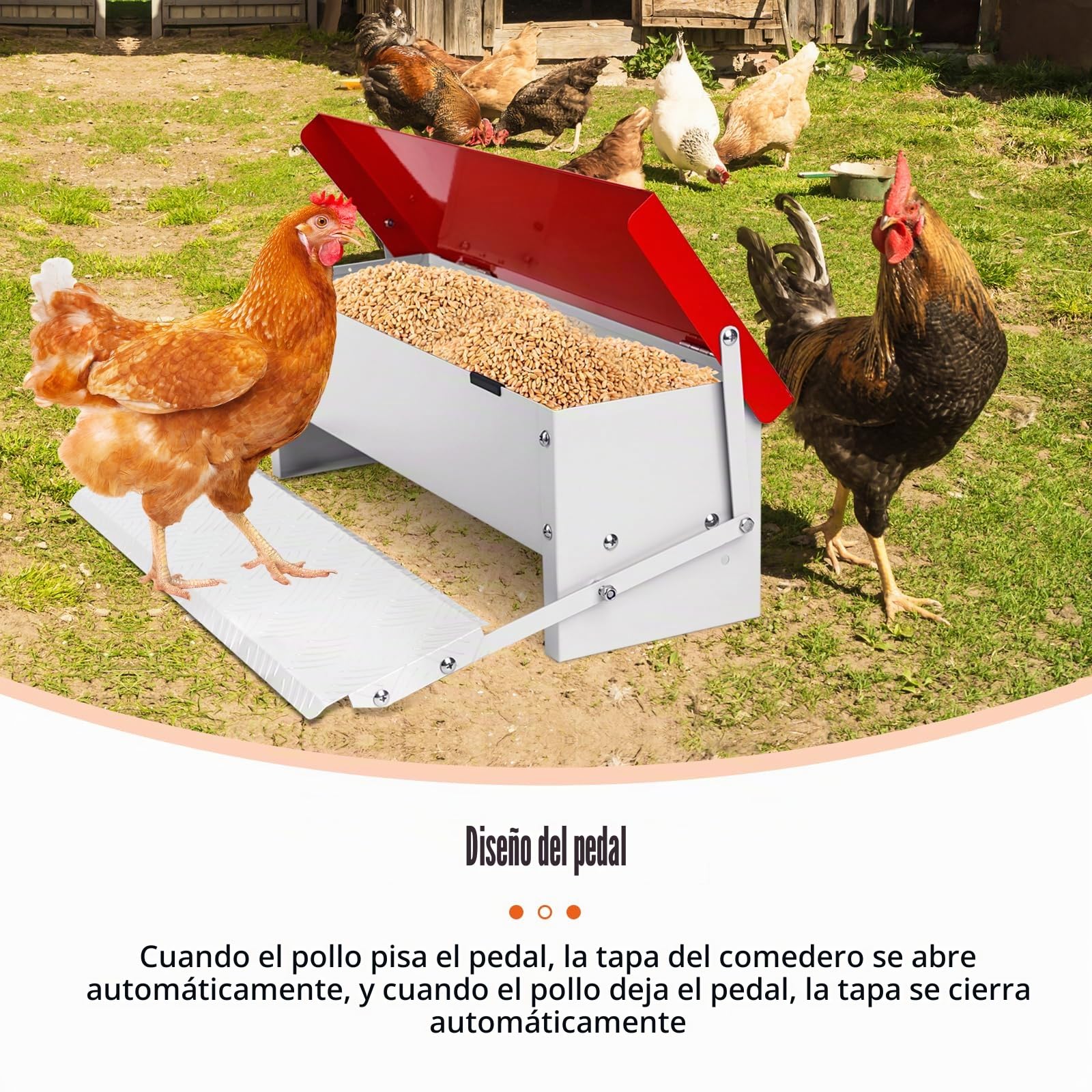 Comedero Automático para Gallinas, 7 Kg Metal con Pala de Acero Inoxidable, Comedero de Patos Para Exteriores, Sin Desperdicios con Tapa Resistente a la Intemperie para 6-12 Gallinas
