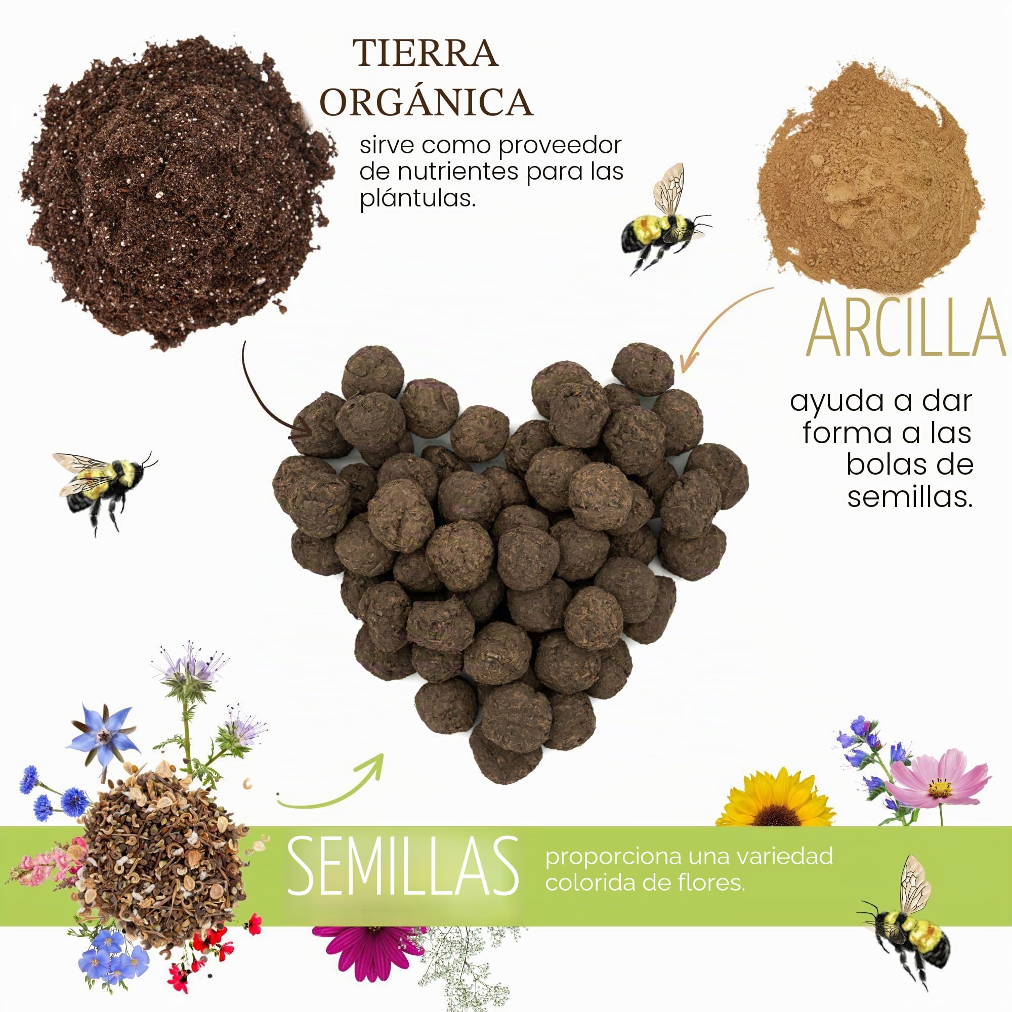 Regalos para invitados para bodas Semillas de flores Bombas de semillas - Regalo especial de boda para invitados como regalo - Haz crecer nuestro amor Juego completo (juego de 50)