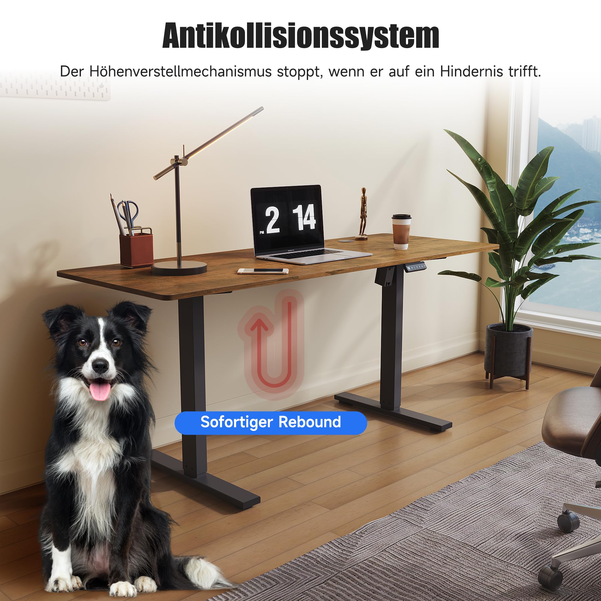 SONNI Höhenverstellbarer Schreibtisch Elektrisch, 120x60cm, Bürstenloser Motor mit 3 Memory-Funktionen, Anti-Kollisionssystem & Kabelmanagement, Steh-Sitz Tisch für Homeoffice, 60KG Traglast