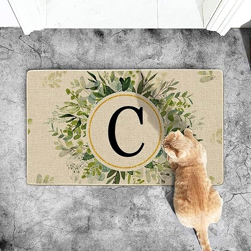 Tapetes de puerta personalizados con apellido familiar, 24 x 16 pulgadas, antideslizantes, para entrada al hogar, puerta delantera, tapete de