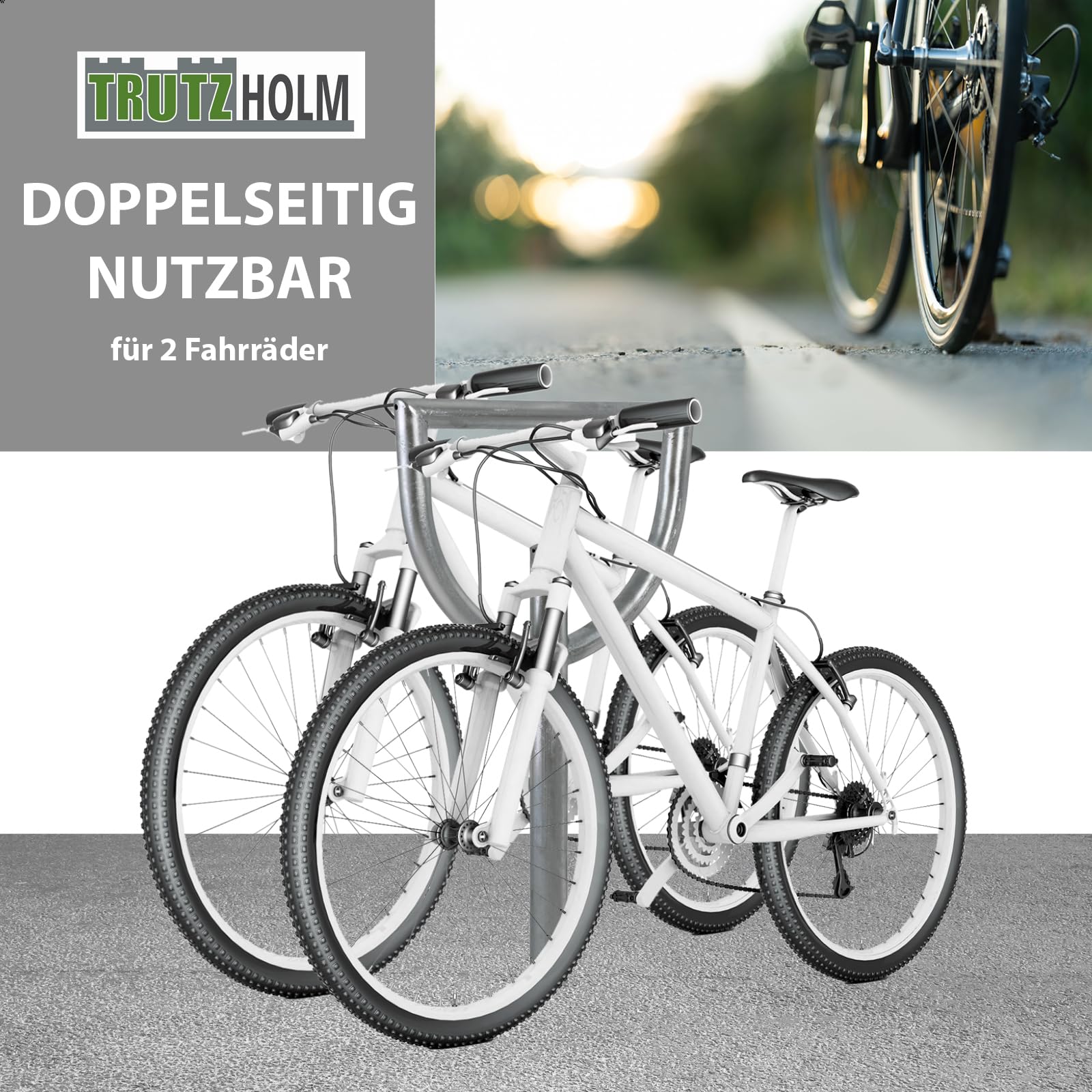 TRUTZHOLM Fahrradanlehnbügel 115x56 cm Stahl feuerverzinkt Rohrdurchmesser Ø 60 mm Fahrradständer zum Einbetonieren inkl. Bodenqueranker Parker Anlehnbügel Fahrradanlehner für 2 Fahrräder