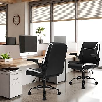 Amazon.com: NEO CHAIR Office Desk Computer Chair Ergonomic