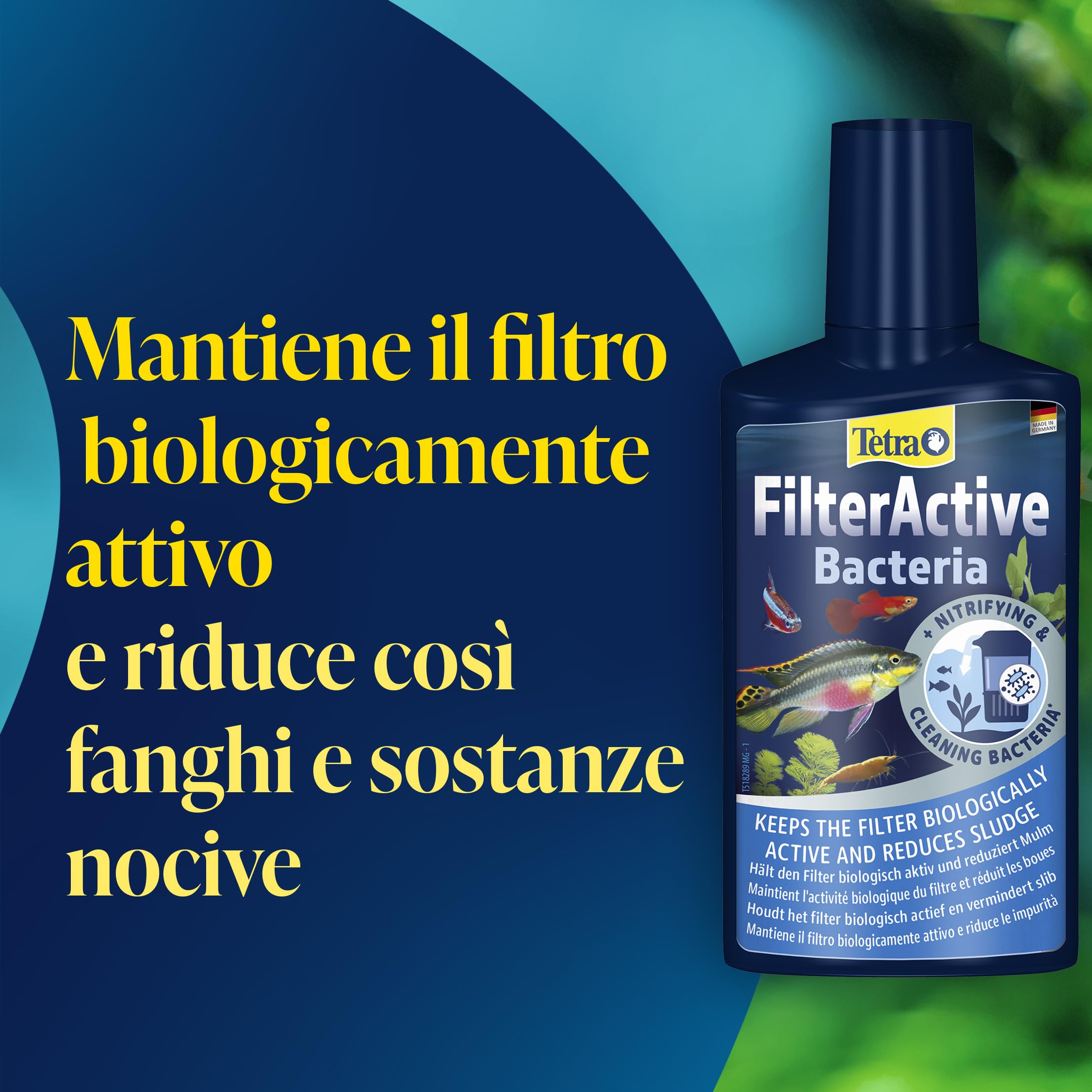 Tetra FilterActive 250 ml Contiene Batteri Vivi che Attivano il Filtro e che Riducono l'Accumulo di Impurità, Mantiene il Filtro Biologicamente Attivo