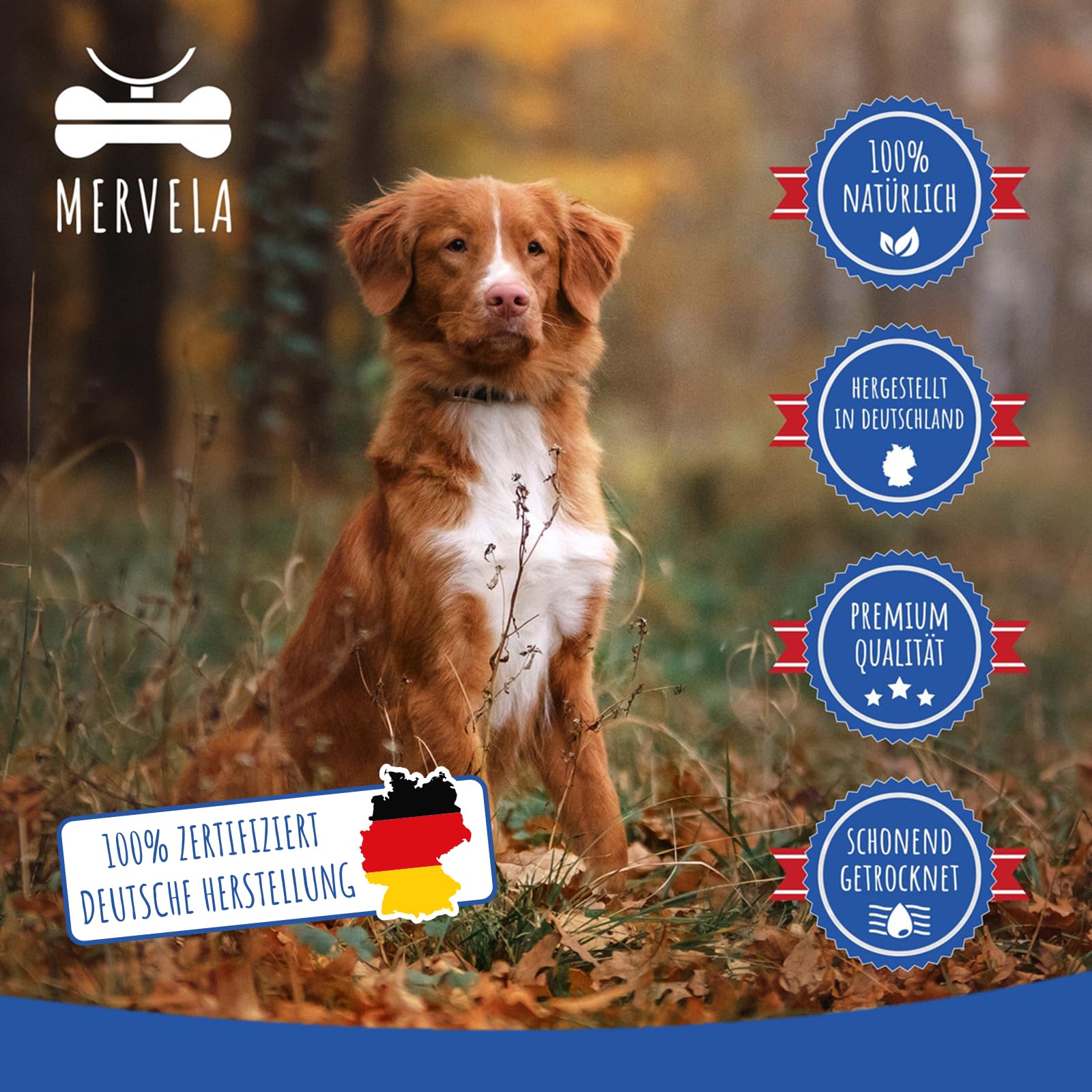Pferdelunge für Hunde - Luftgetrocknete Trainingssnacks - 1 kg